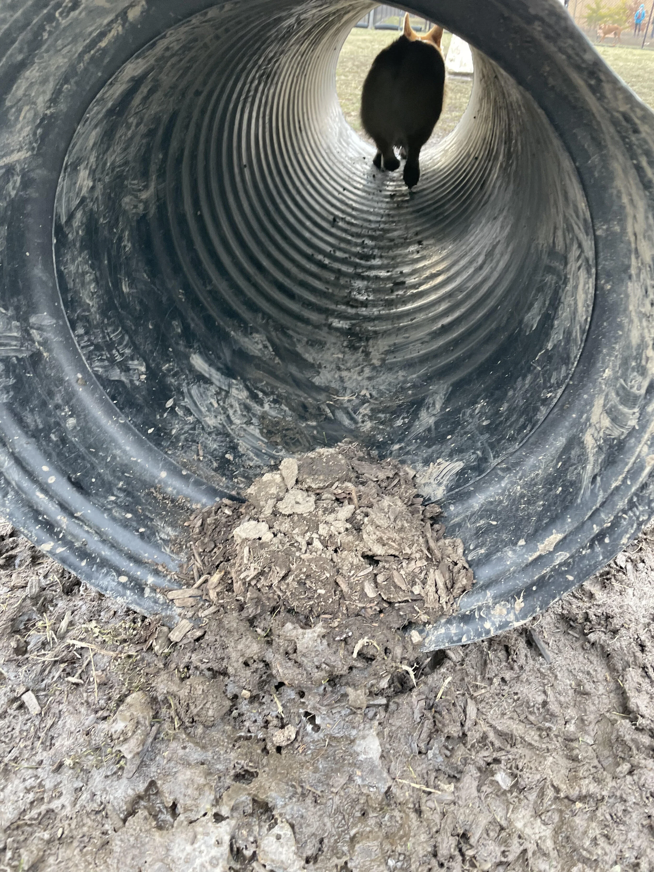 columbus tunnel.jpeg