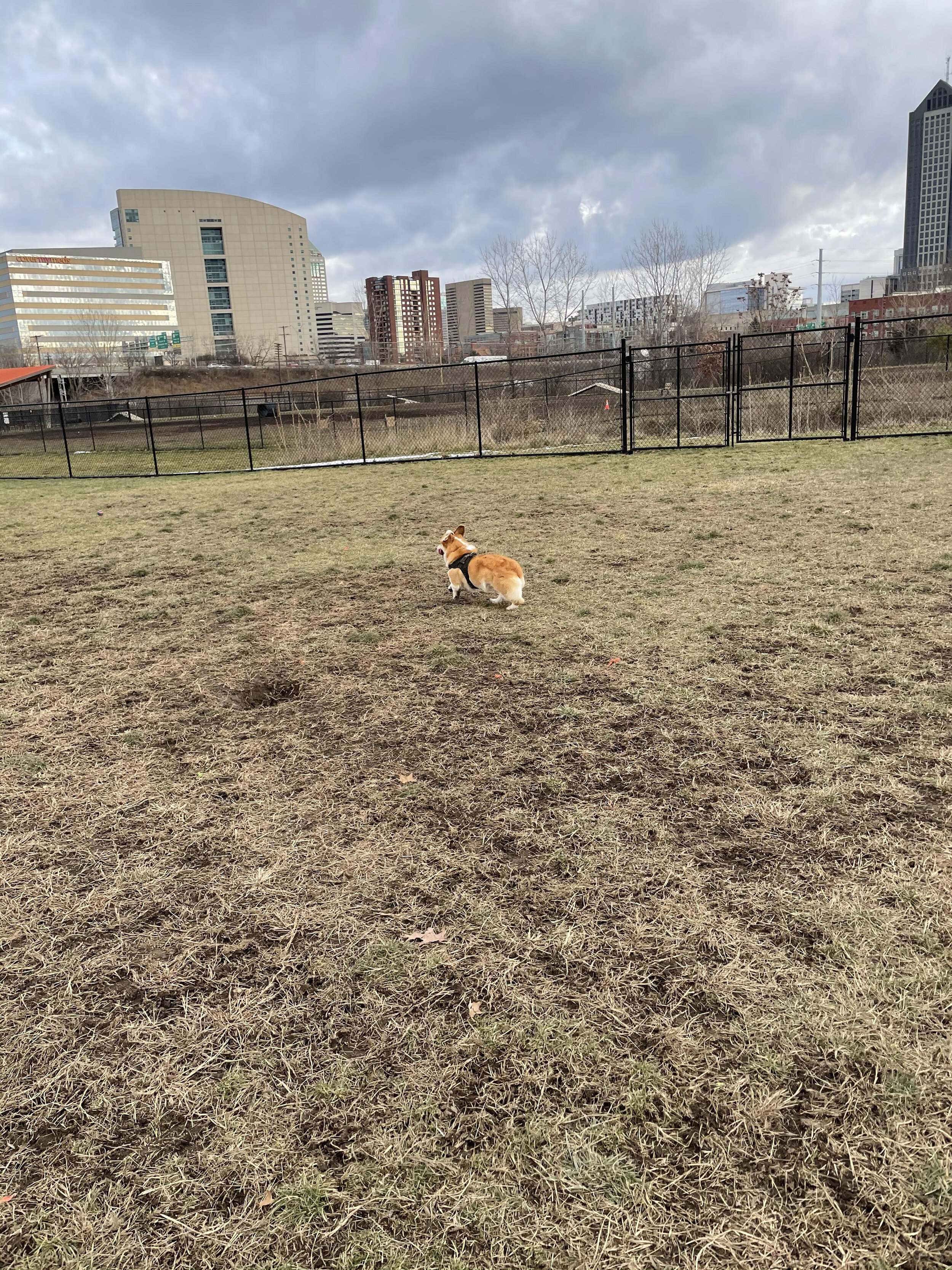 columbus running around 2.jpeg