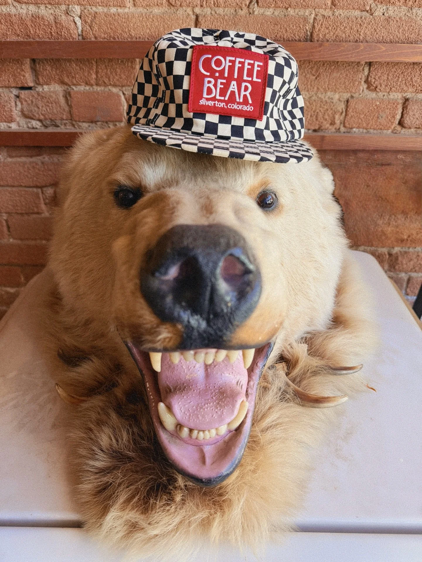 🏁New hat day!!!!🏁
Duality &amp; balance&hellip;. The interplay of opposites. Good vs evil. Light vs darkness. Order vs chaos. Yin Yang. Listen it&rsquo;s just a black and white checkered pattern&hellip;. Don&rsquo;t think too much into it. 
 ⬜️⬛️⬜️