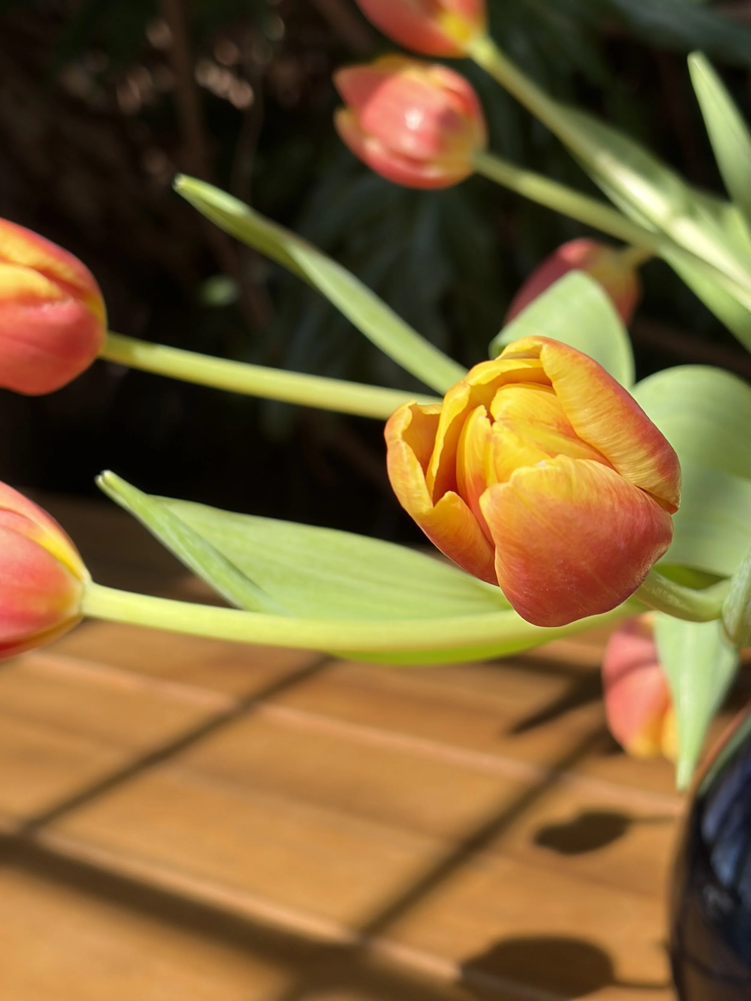 Mothers Day Luncheon and Tea (Saturday) 