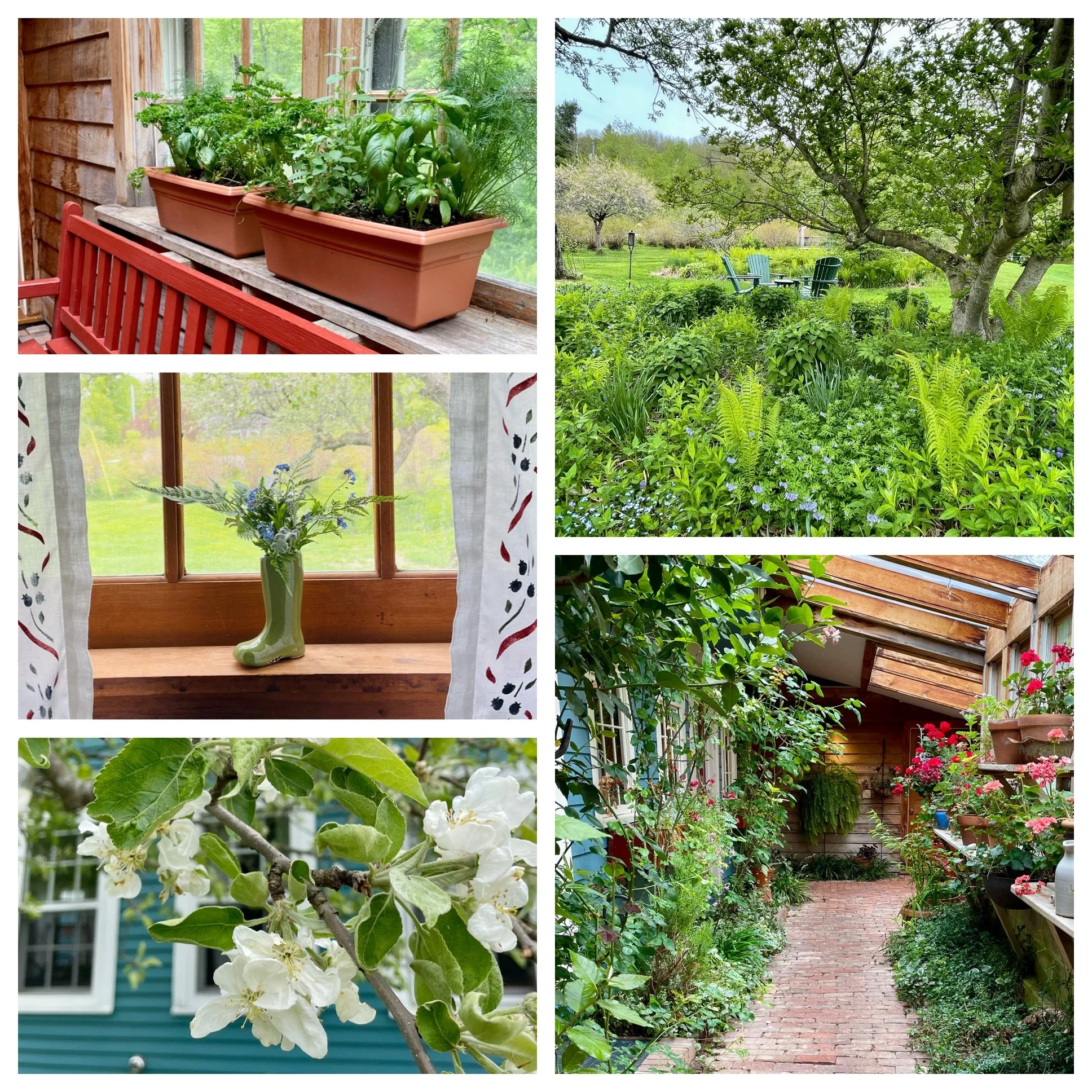 We are absolutely blooming up here! 
🫐🌼🌱🌸🌿☀️🌳 💙