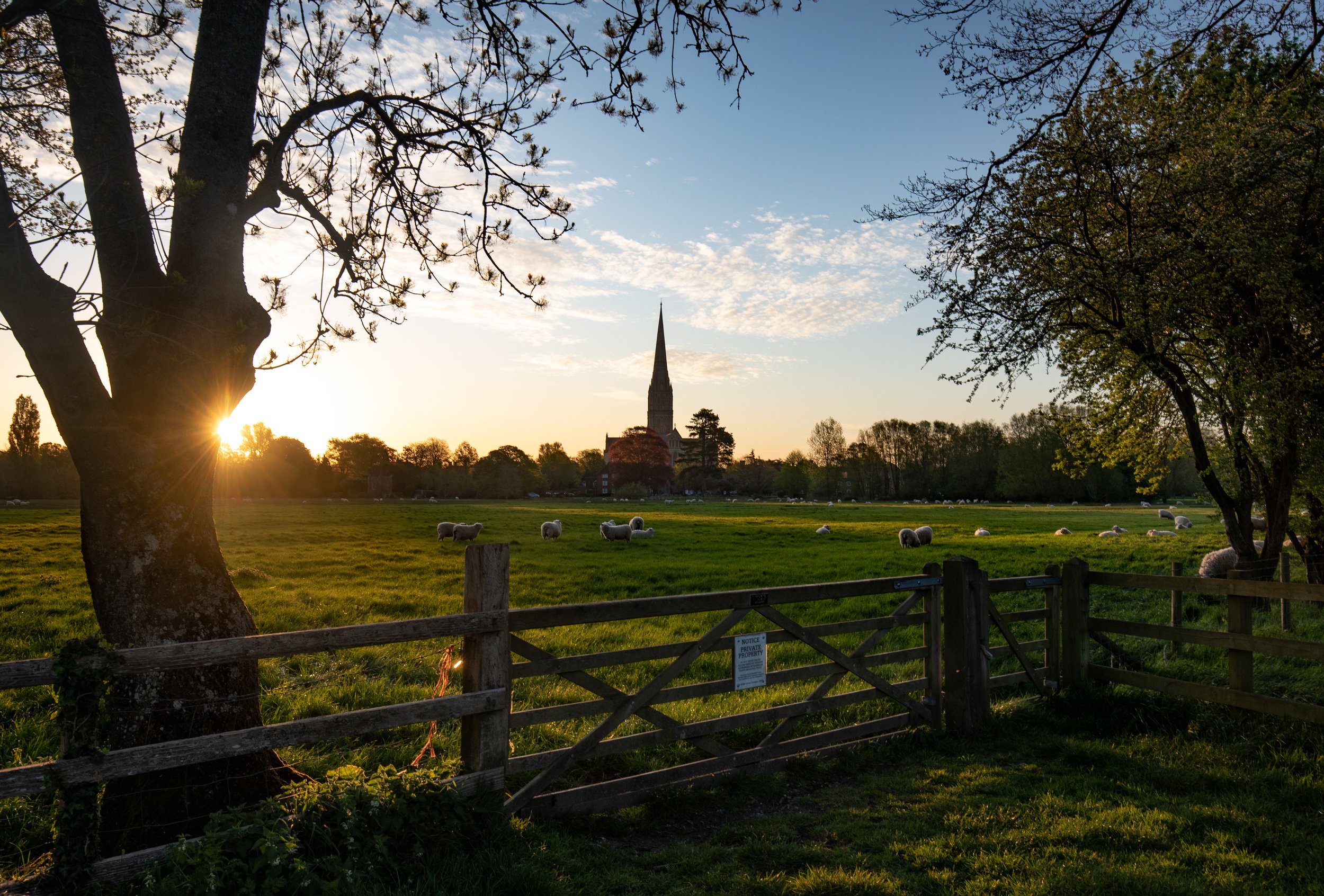 A Salisbury Sunrise