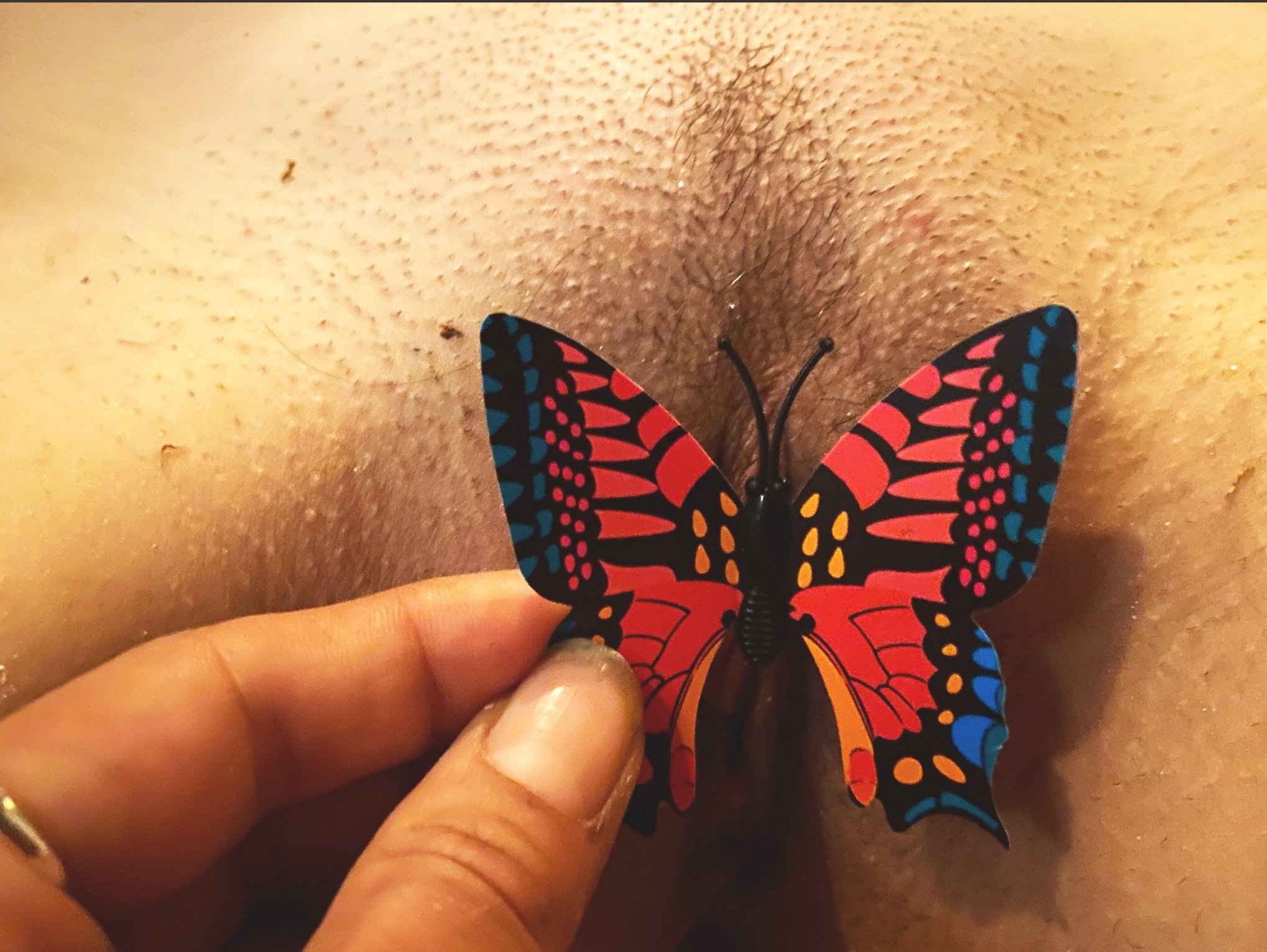 ButterflyPussy.jpg