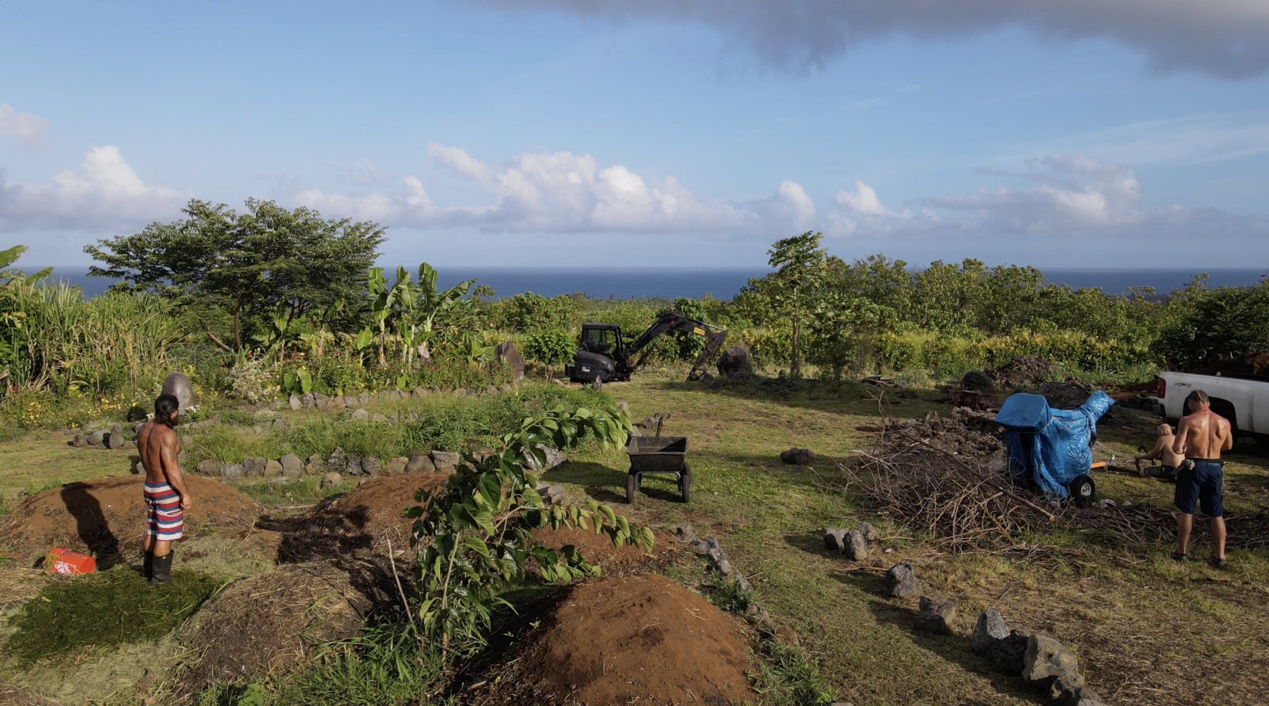 hawaii1.jpg