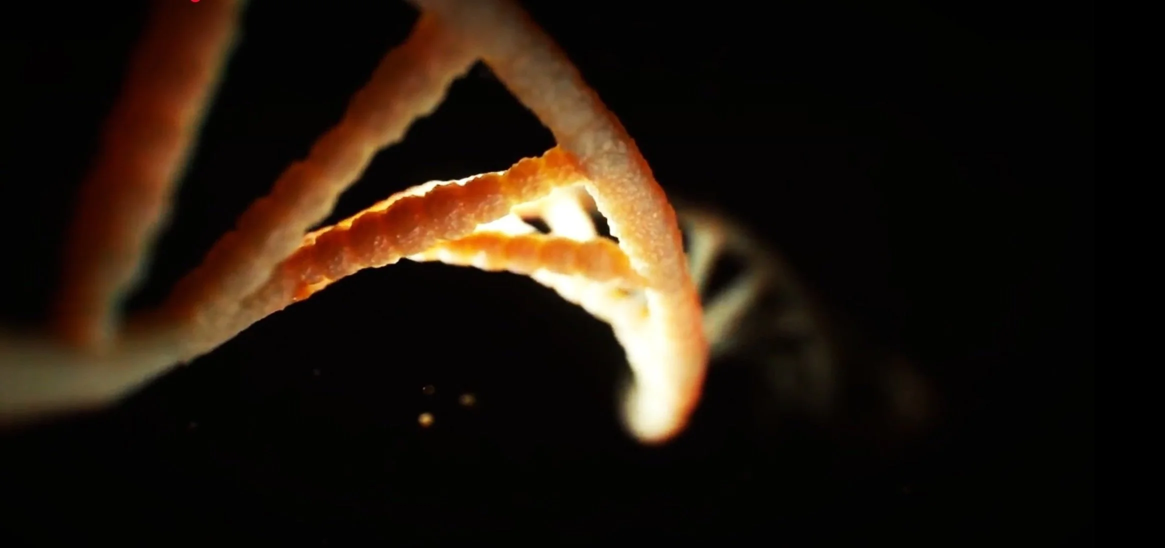 Screenshot 2025-01-10 at 4.15.55 PM.jpg