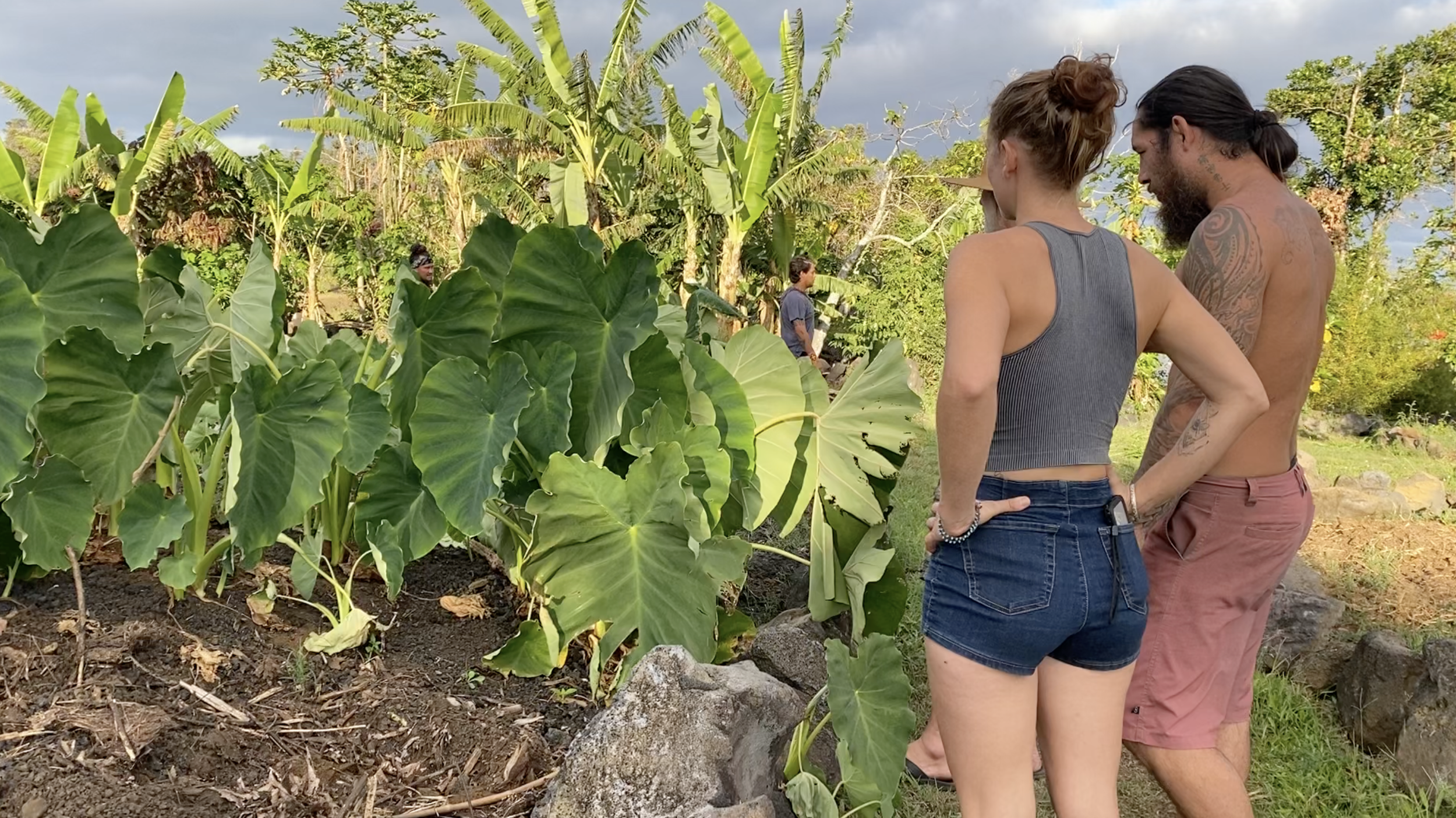 Screenshot 2025-01-25 at 7.29.41 PM.png