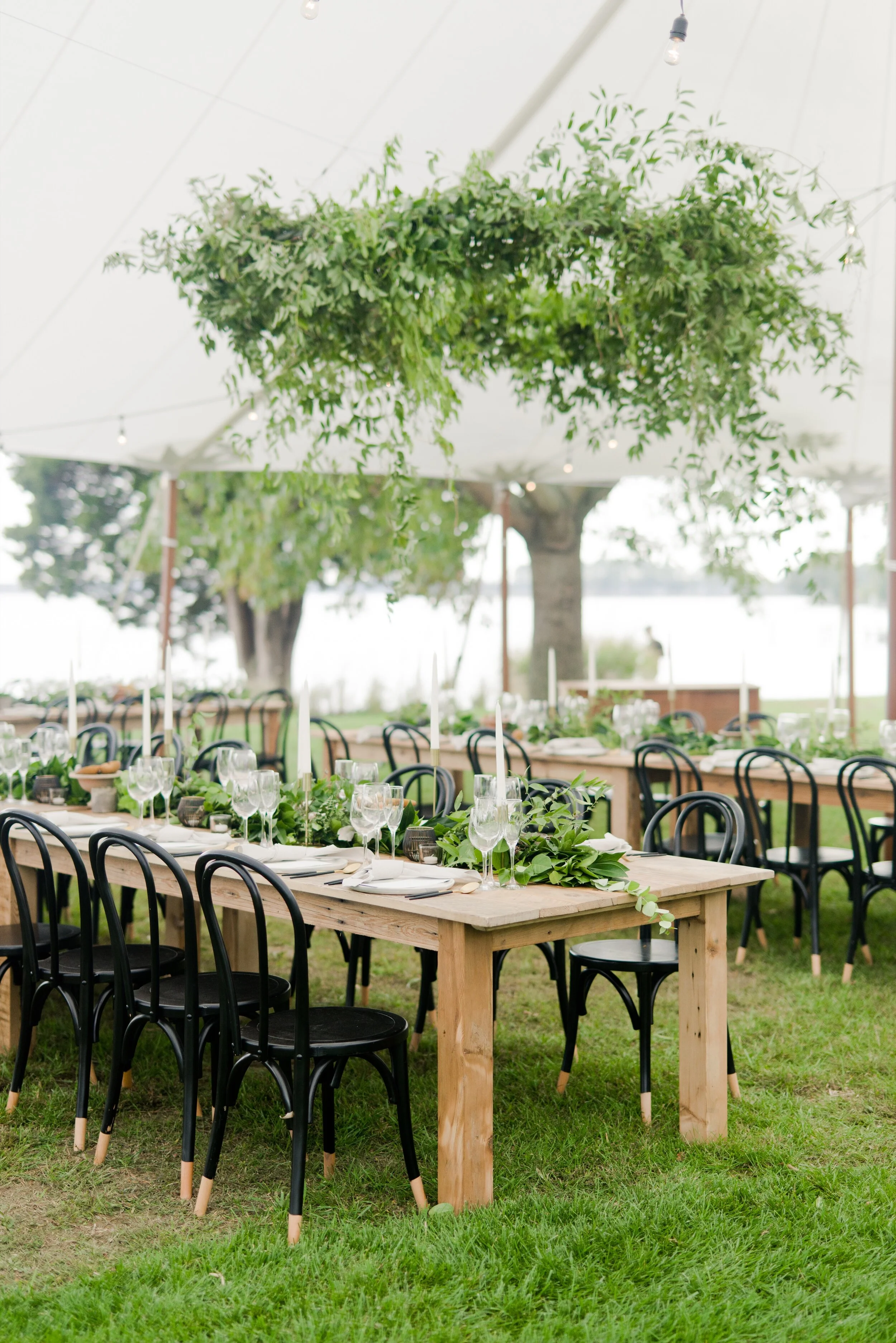 A 40 Guest Eastern Shore Modern Microwedding