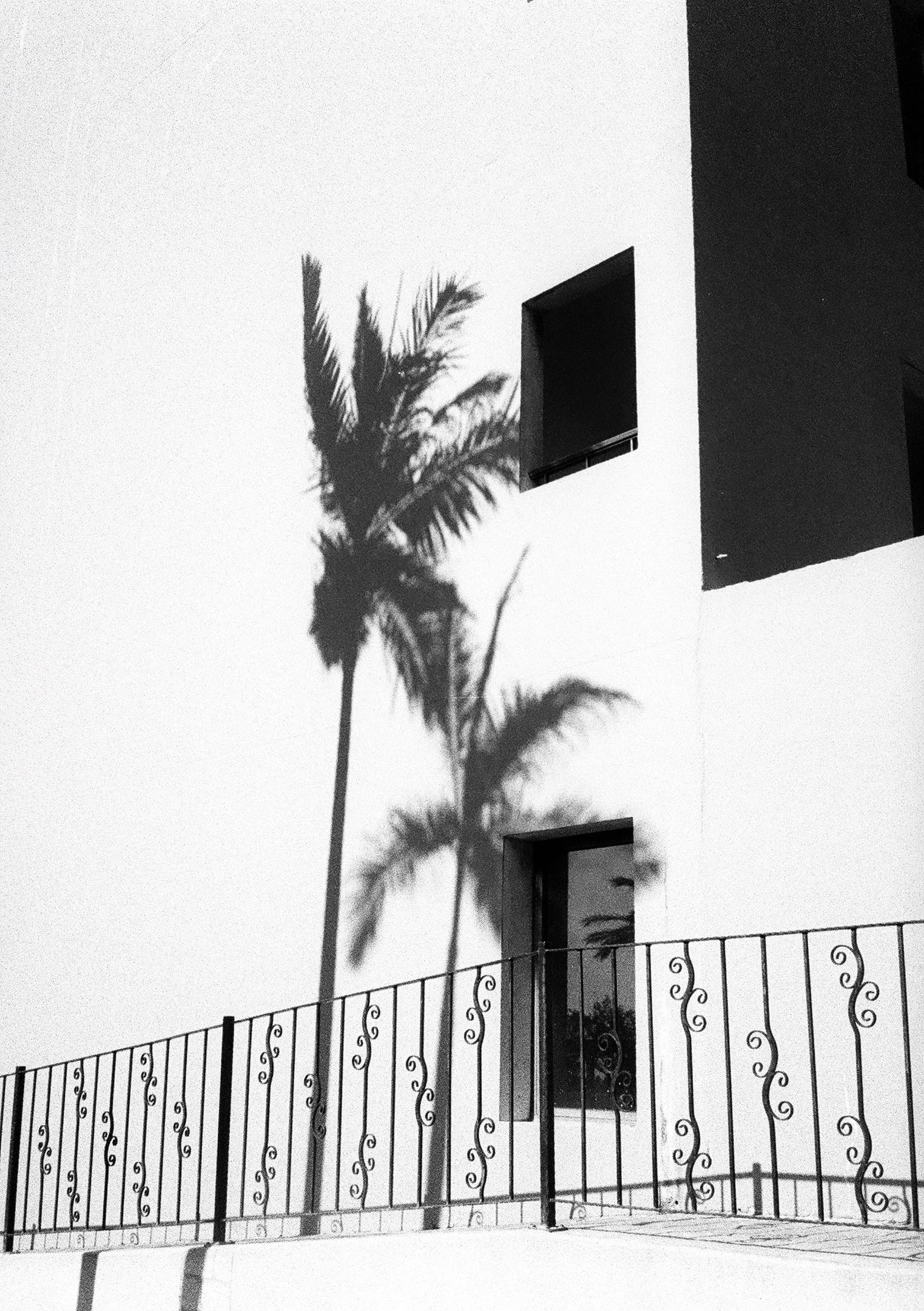 RALPHNEINE_HP5_hlaframe-4.jpg