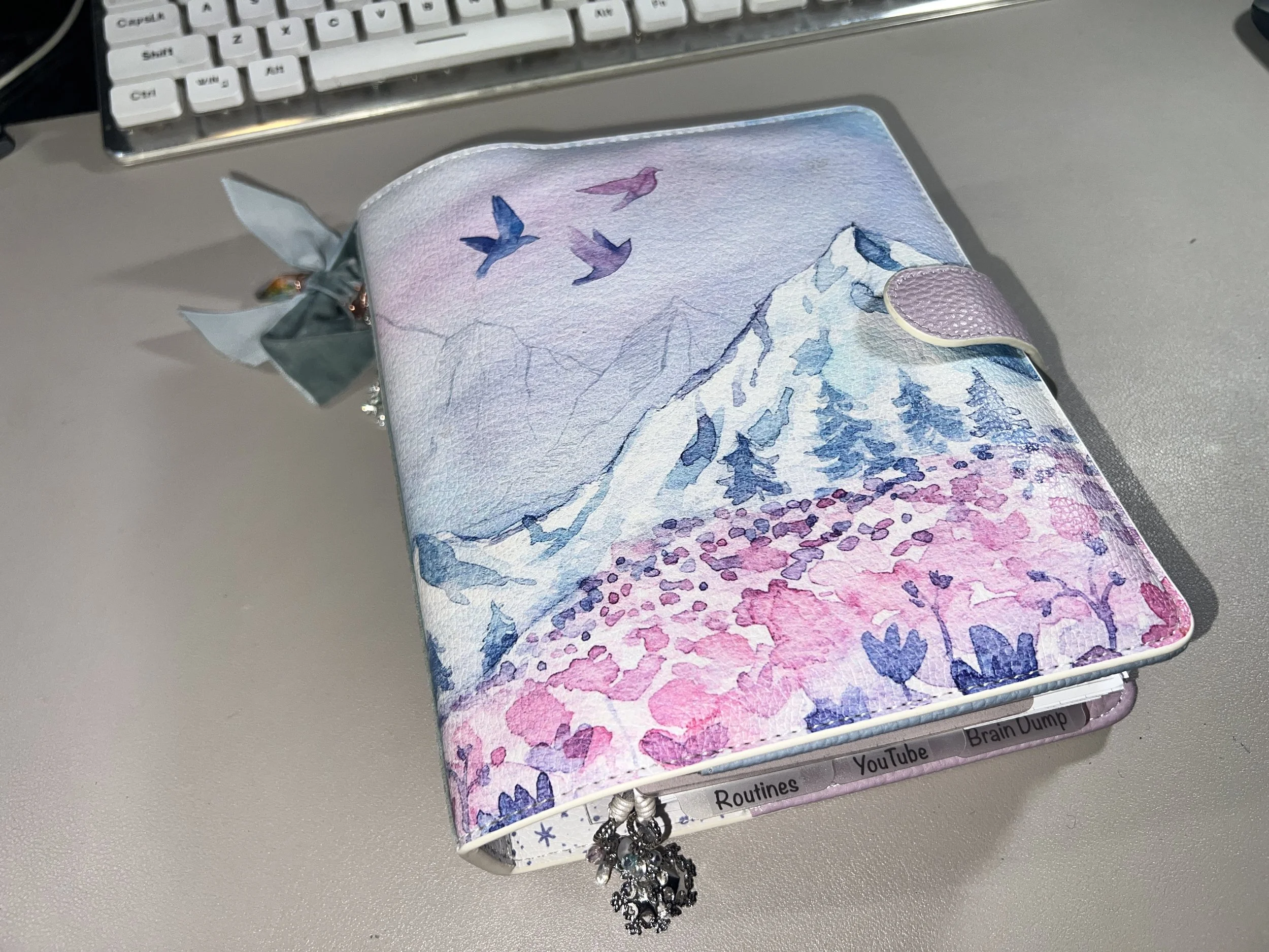 Social Media &amp; Business Planner Setup for 2026