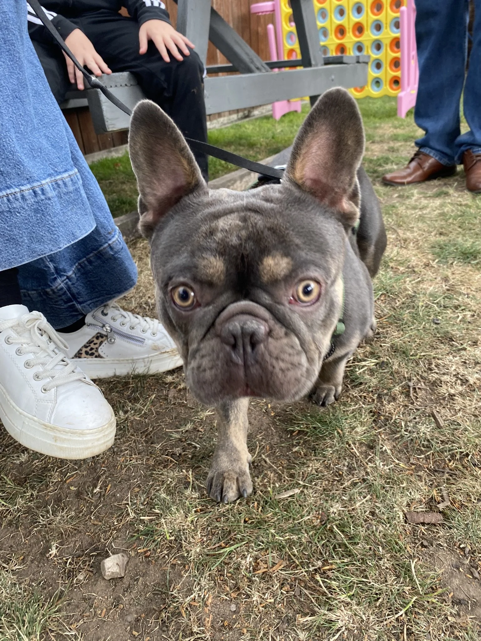 IMG_0593.JPEG