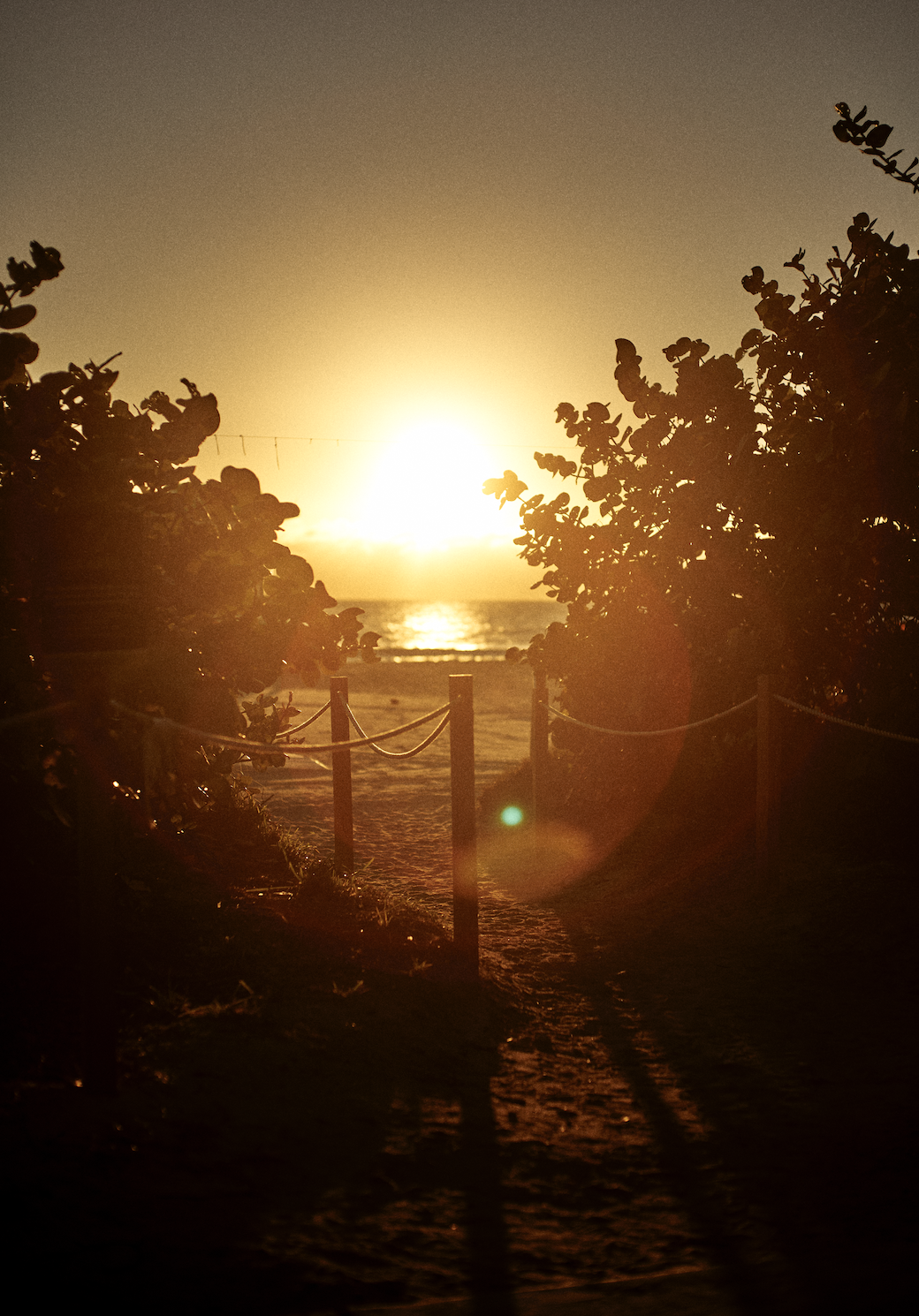 Screenshot 2024-03-26 at 10.30.13.png