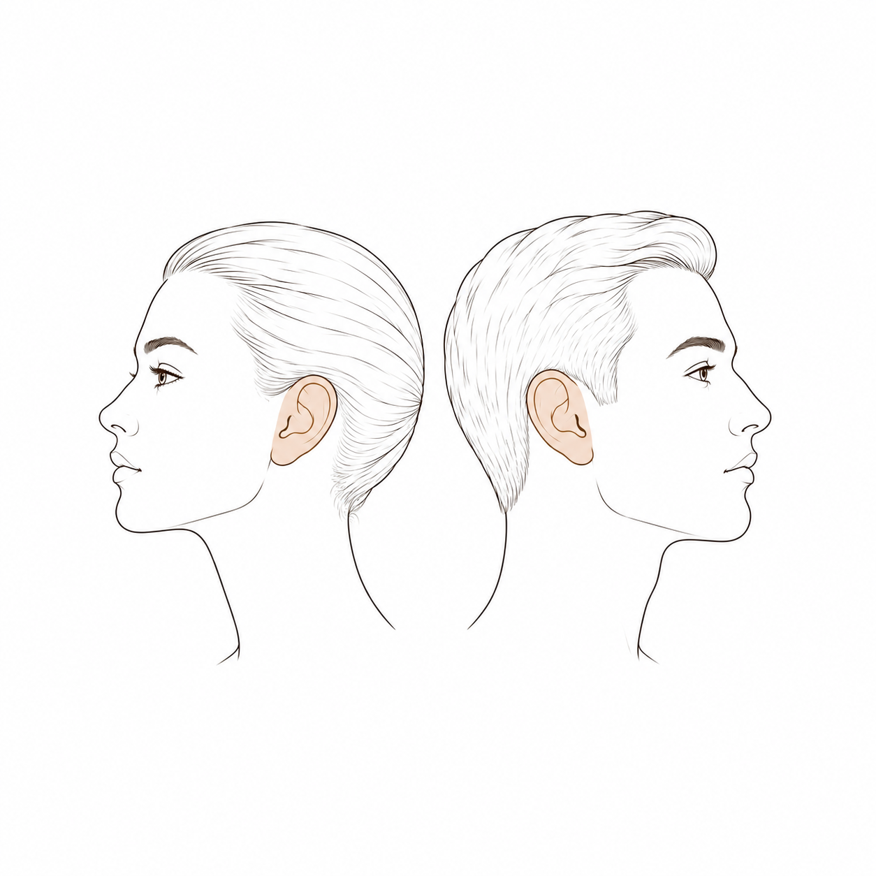 Ears