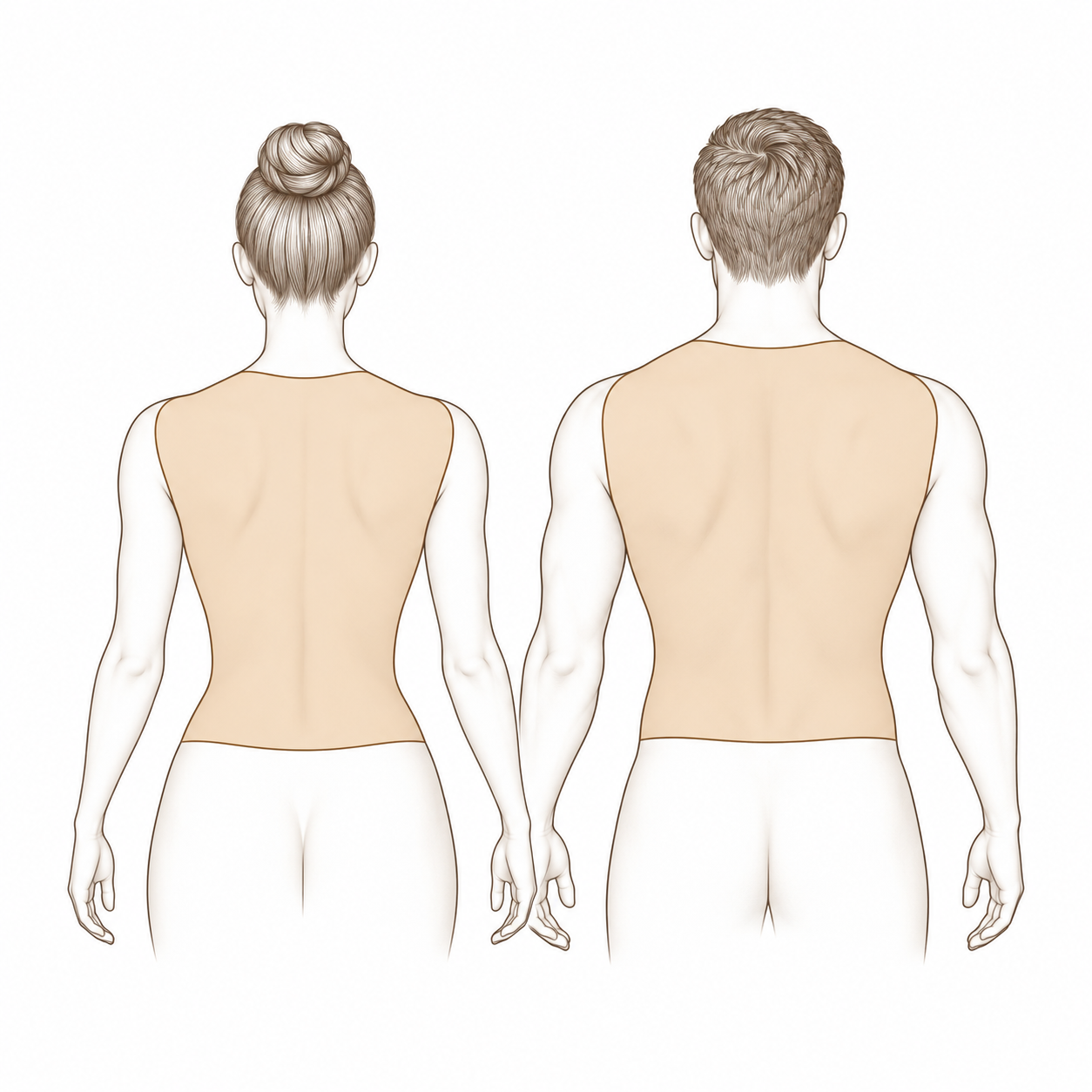 Full Back