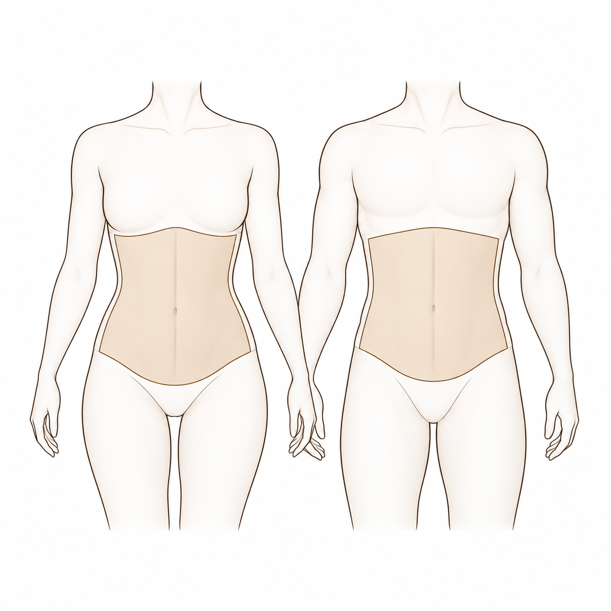 Abdomen (Full)