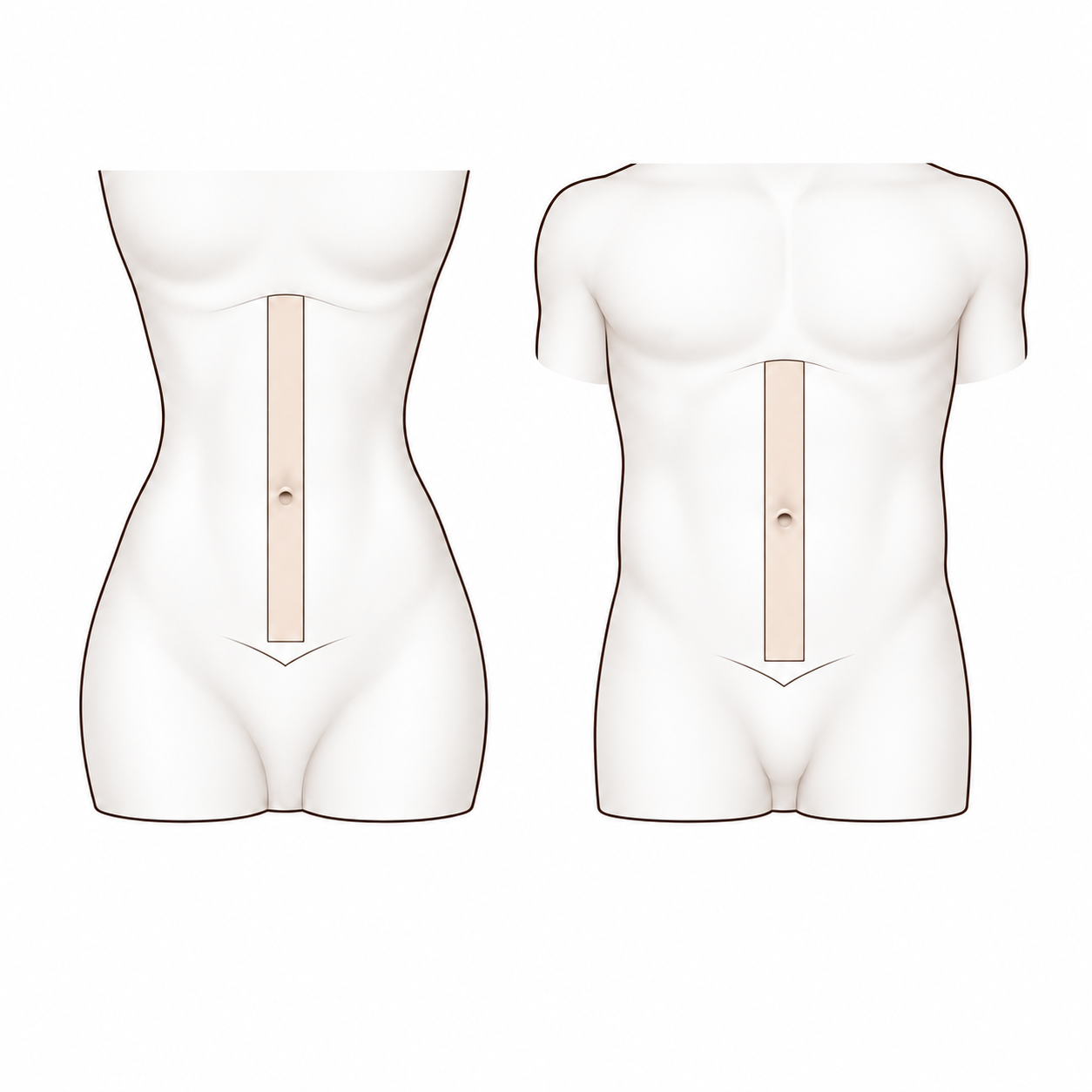Abdomen Line