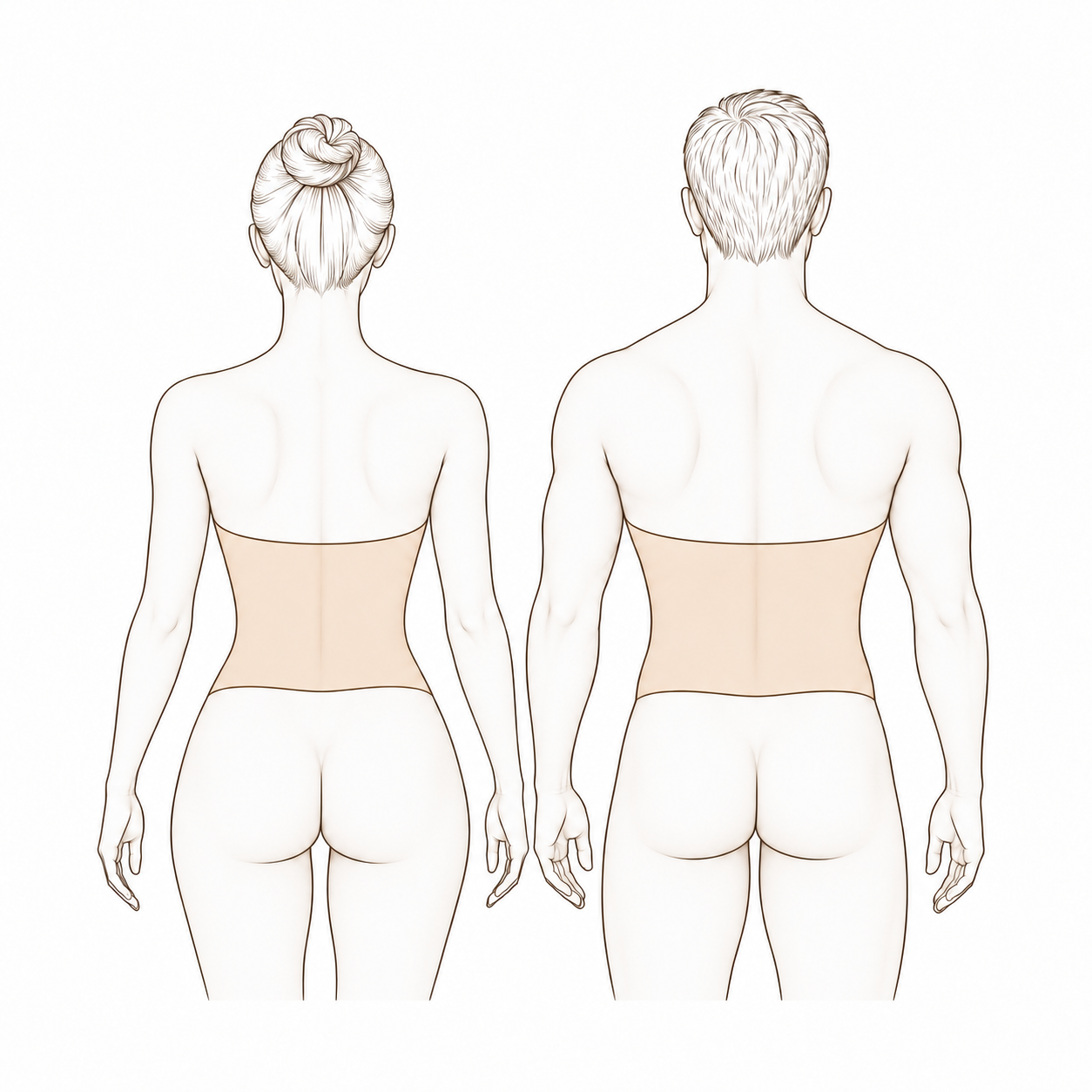 Back (Lower)