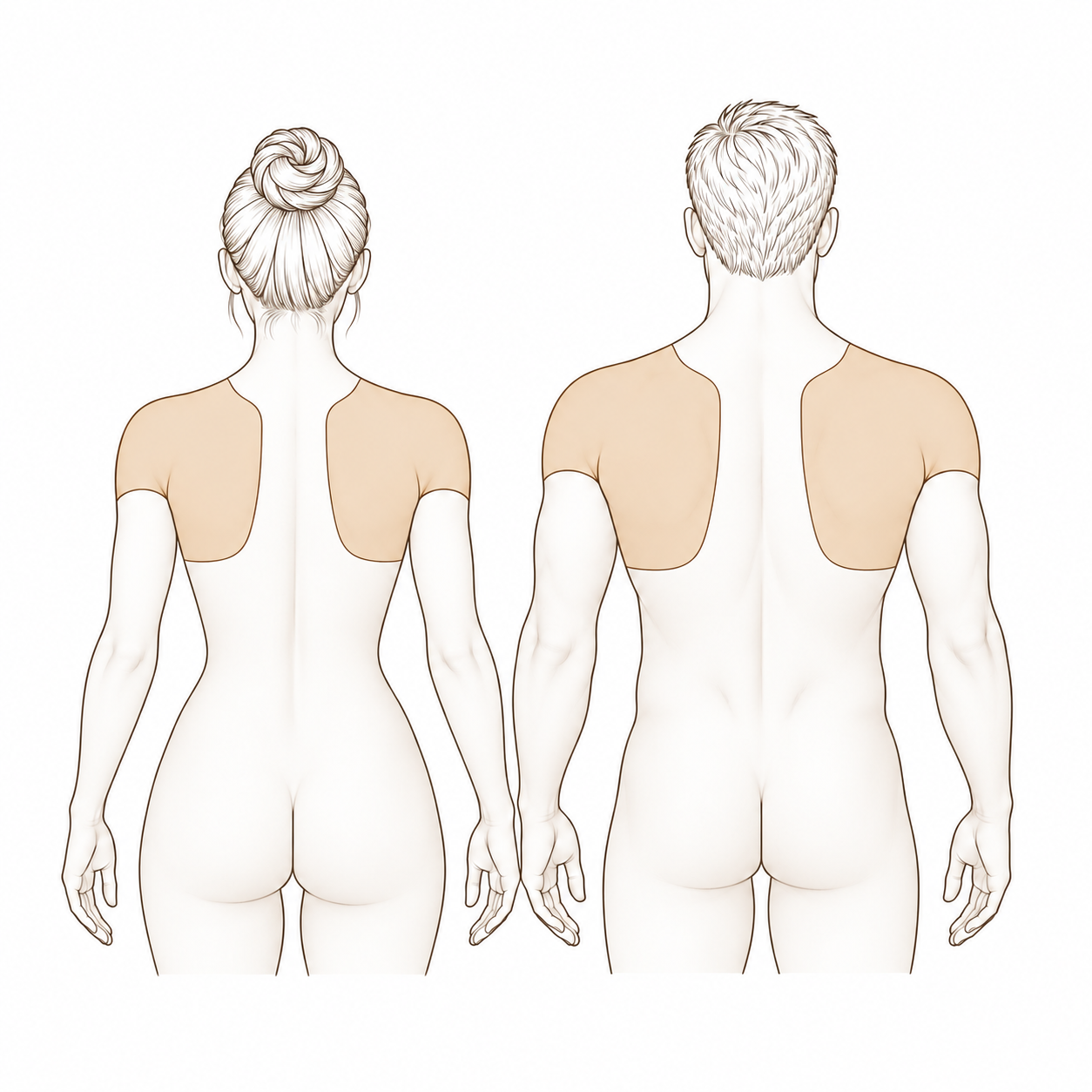 Shoulders