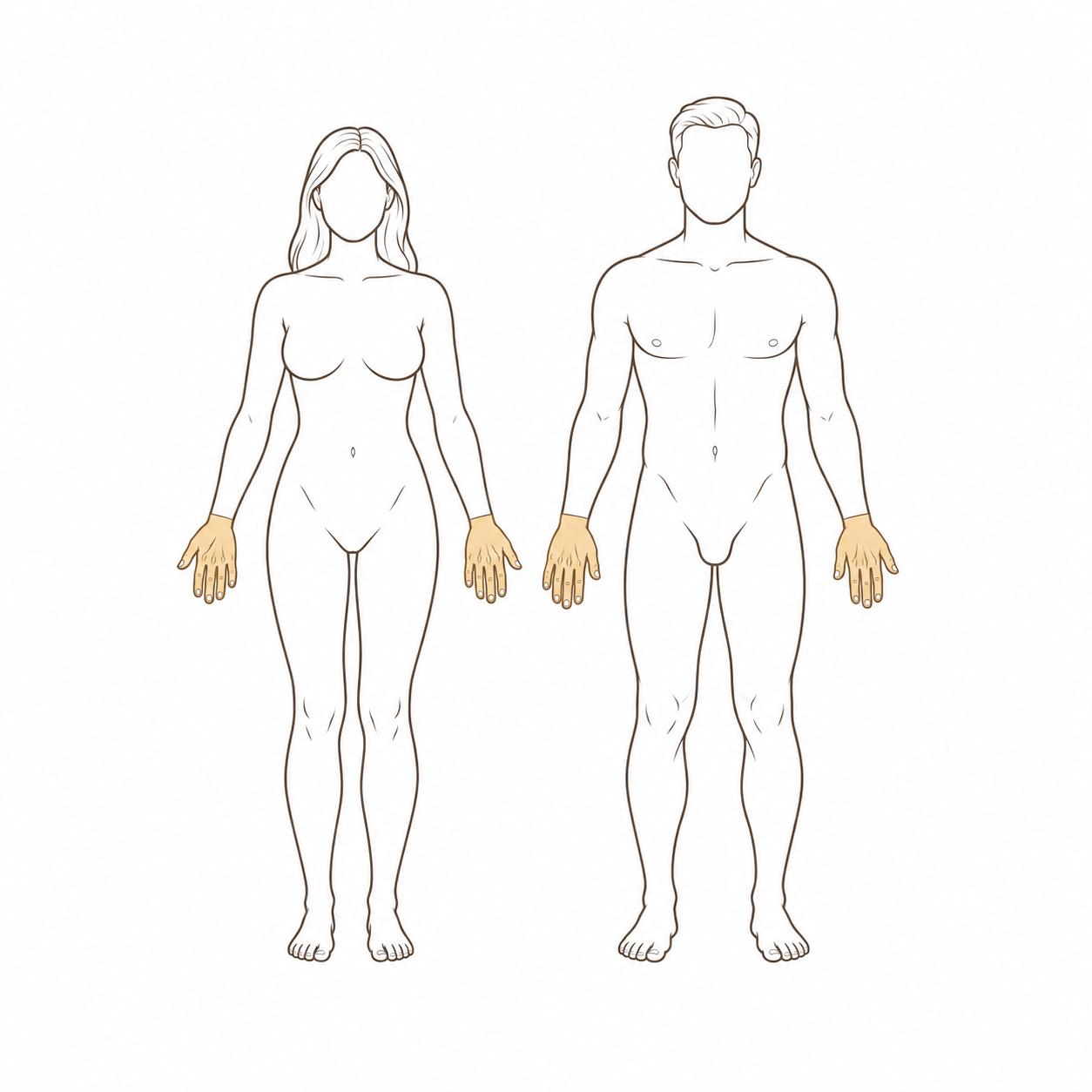 Hands and Fingers