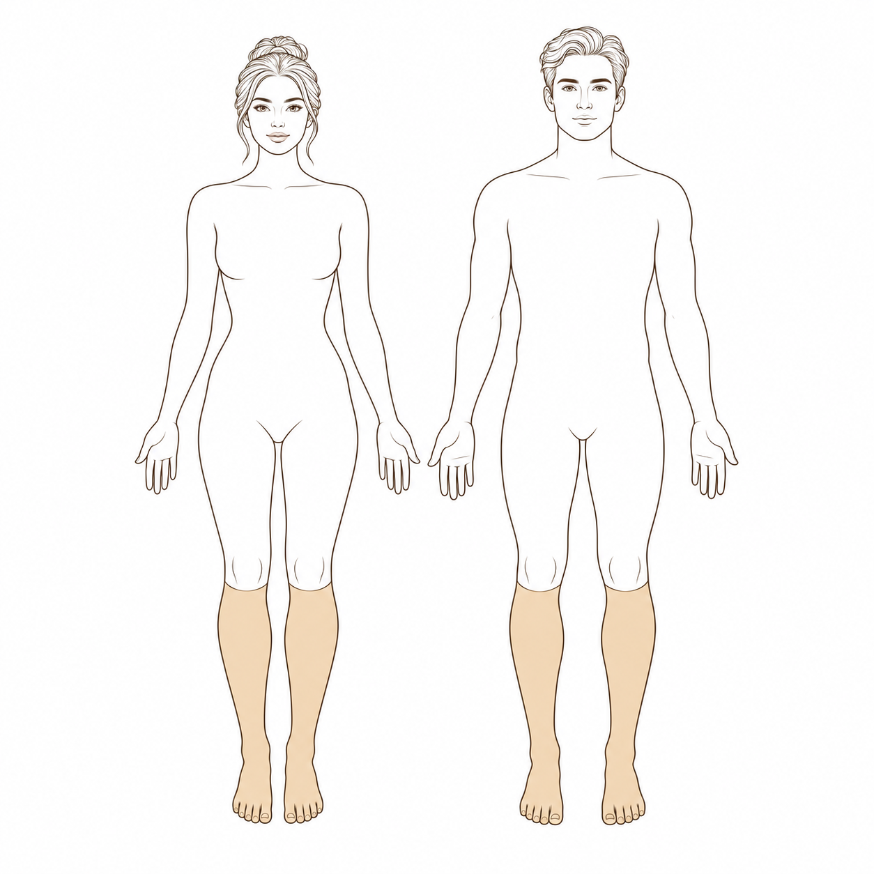 Legs (Lower)