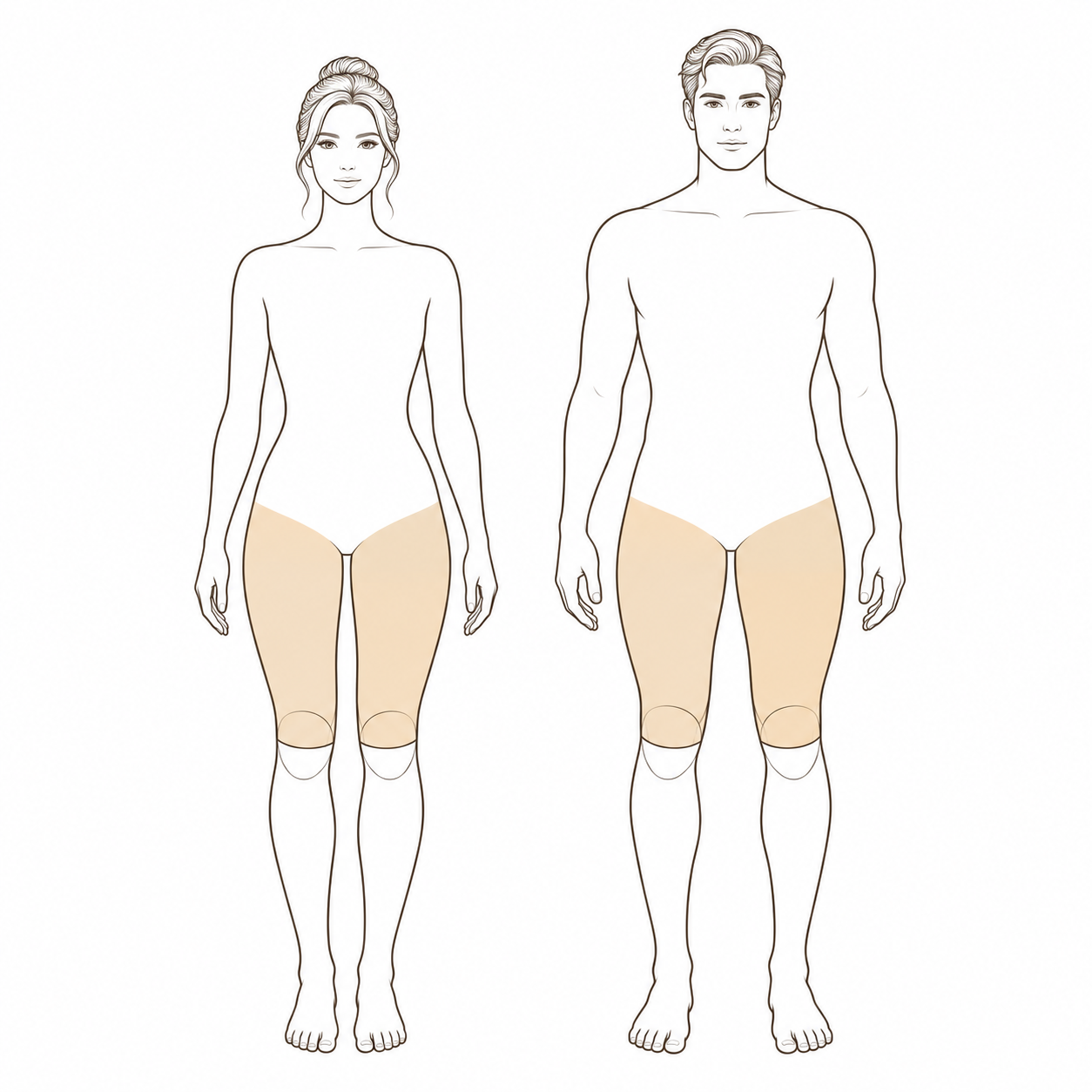 Legs (Upper)