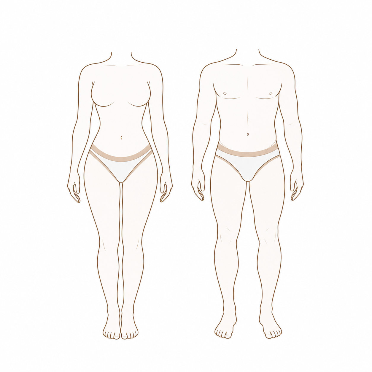 Bikini Line (Male & Female)