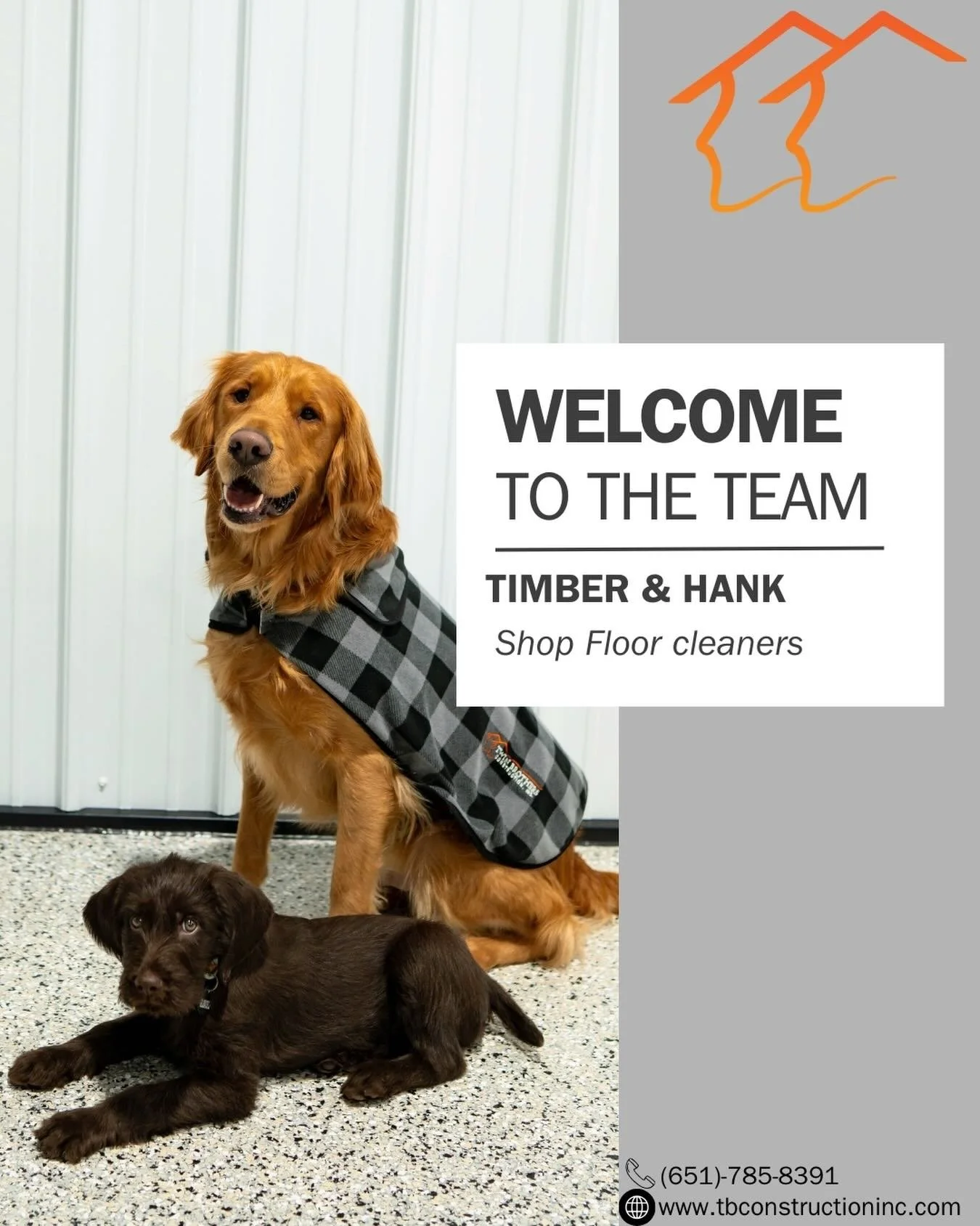 Happy Friday from Timber &amp; Hank - behind every solid crew is a solid pair of paws. These two take their jobs very seriously &amp; are always ready to clock in 🔨🐾🦾 

Shop morale? Covered.
Site security? Handled.
Floors? Always clean.
Visitors? 