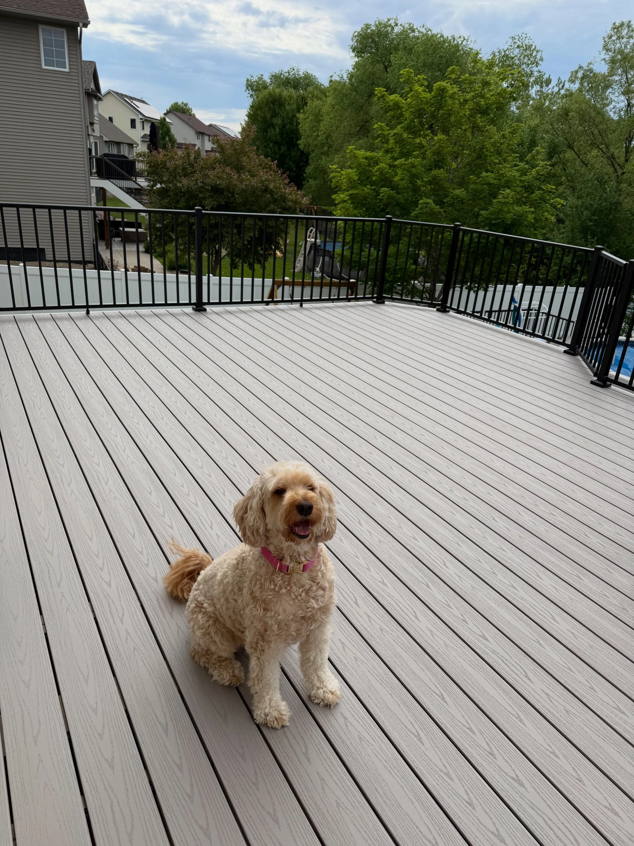 🐾Feature Friday🐾
&bull;
&bull;
Layla has officially claimed her new favorite spot &amp; how adorable is she?! This stunning backyard transformation features @timbertech Slate Gray from their Harvest Collection!🧹😍 It&rsquo;s easy to see why this f