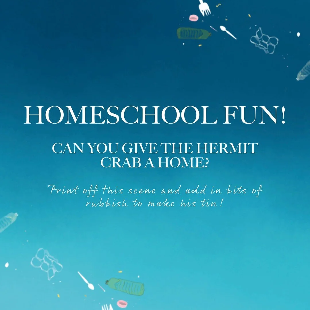 Happy half term everyone! For the last virtual lesson we want you to have a bit of fun so we've created a half term competition and activity sheet for you!

You might recognise this scene from your own Jessie The Jellyfish book? But this scene needs 