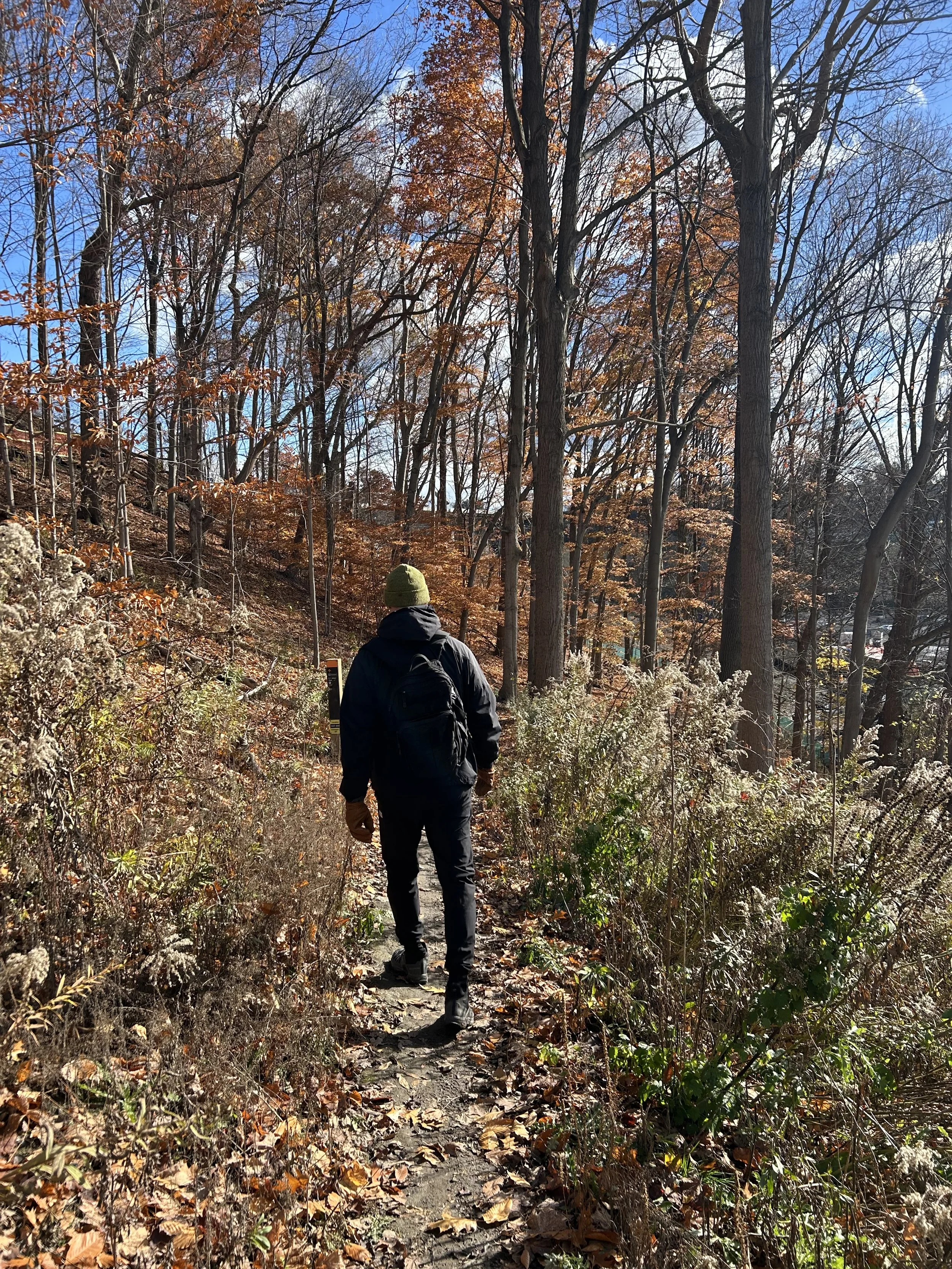 Walking: The Most Nutritious Form of Movement