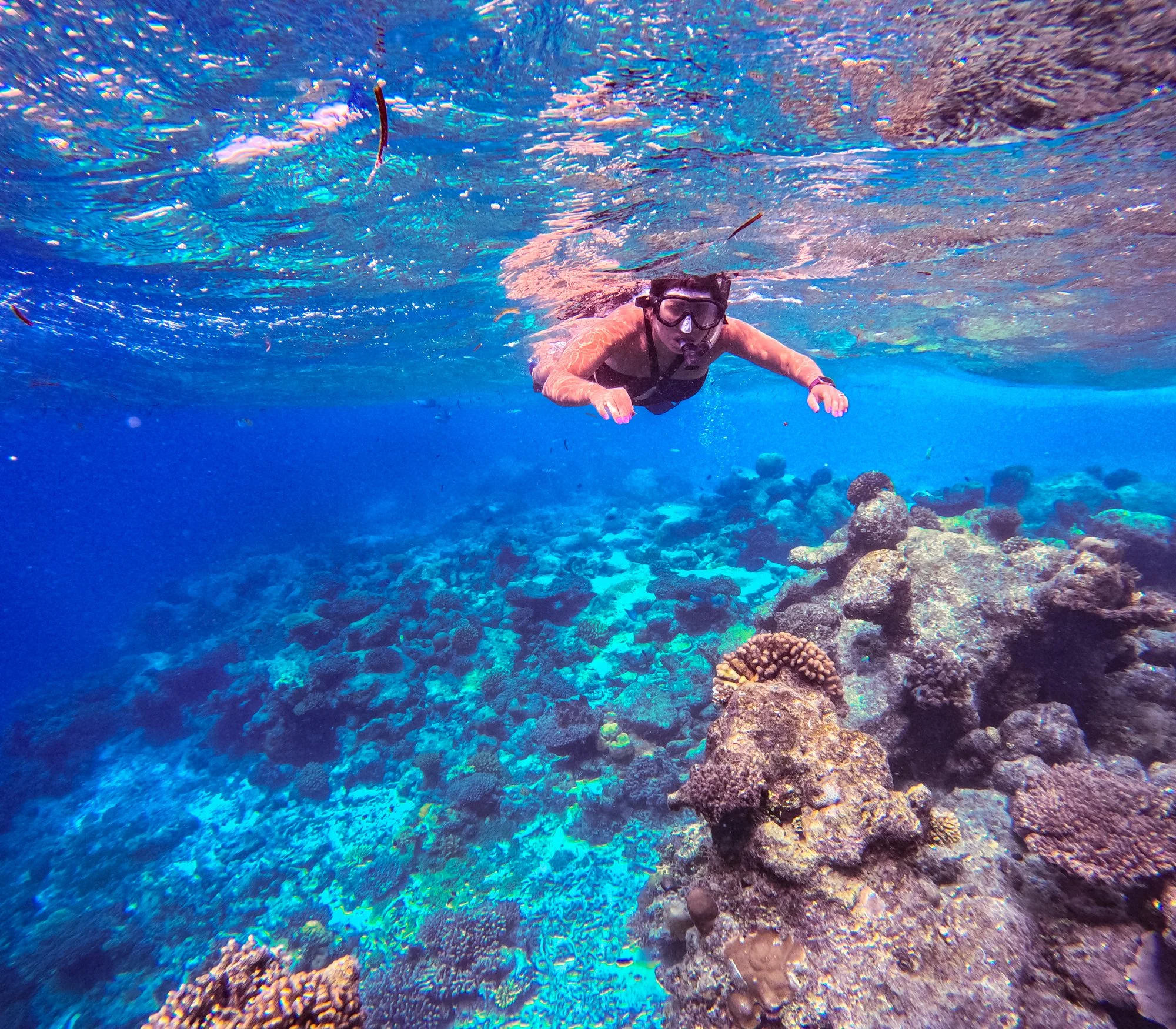 Snorkeler swimming above a colorful coral reef in the clear blue water of the Maldives.