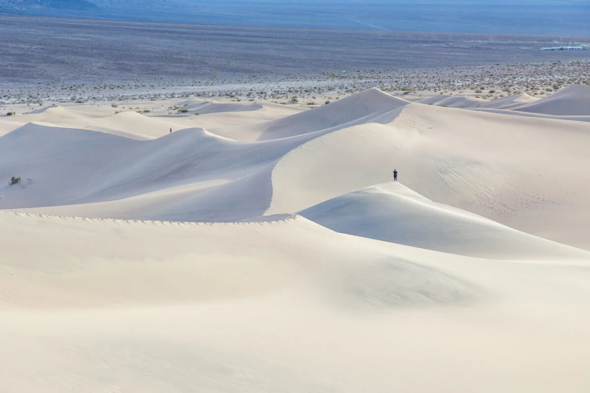 Mesquite Flat Sand Dunes in Death Valley Jason Daniel Shaw