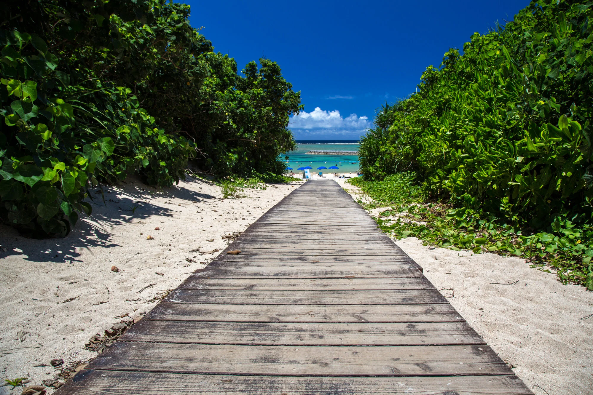 Wooden path leading through tropical greenery to a beach on Ishigaki Island, Japan