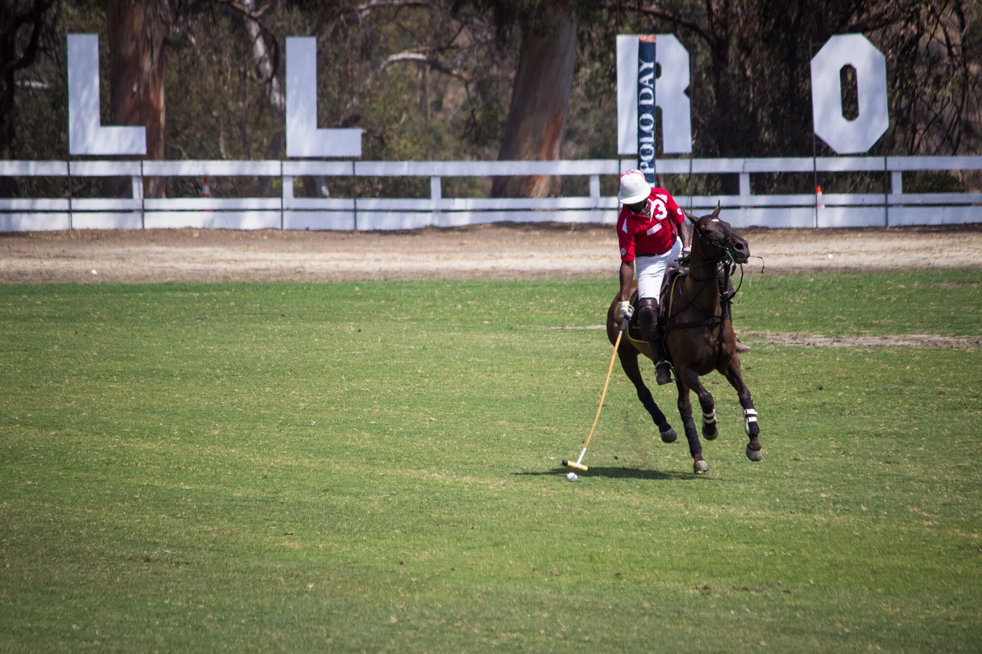 Will Rogers Polo Games In Los Angeles Jason Daniel Shaw