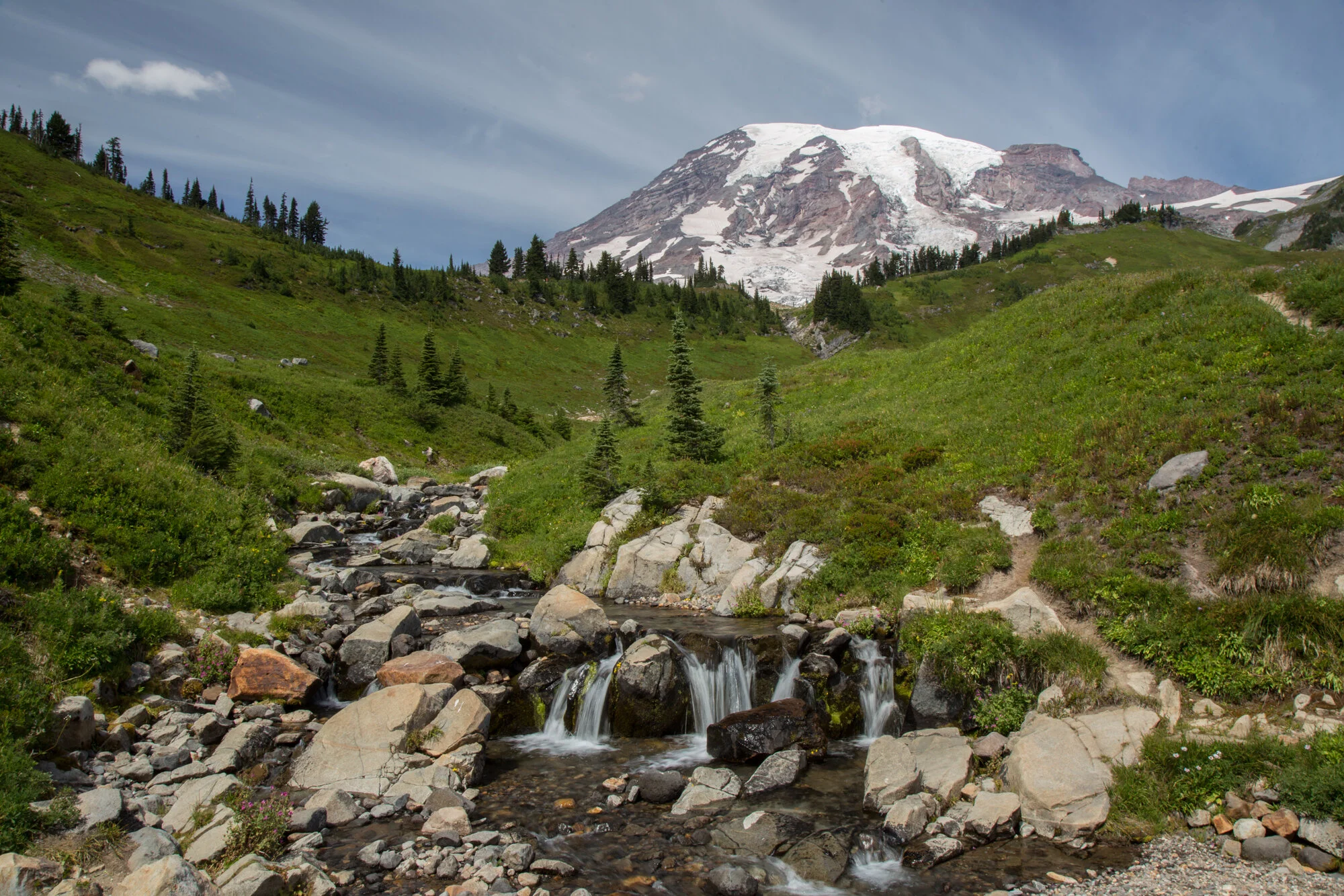Alpine stream flowing through a meadow beneath Mount Rainier