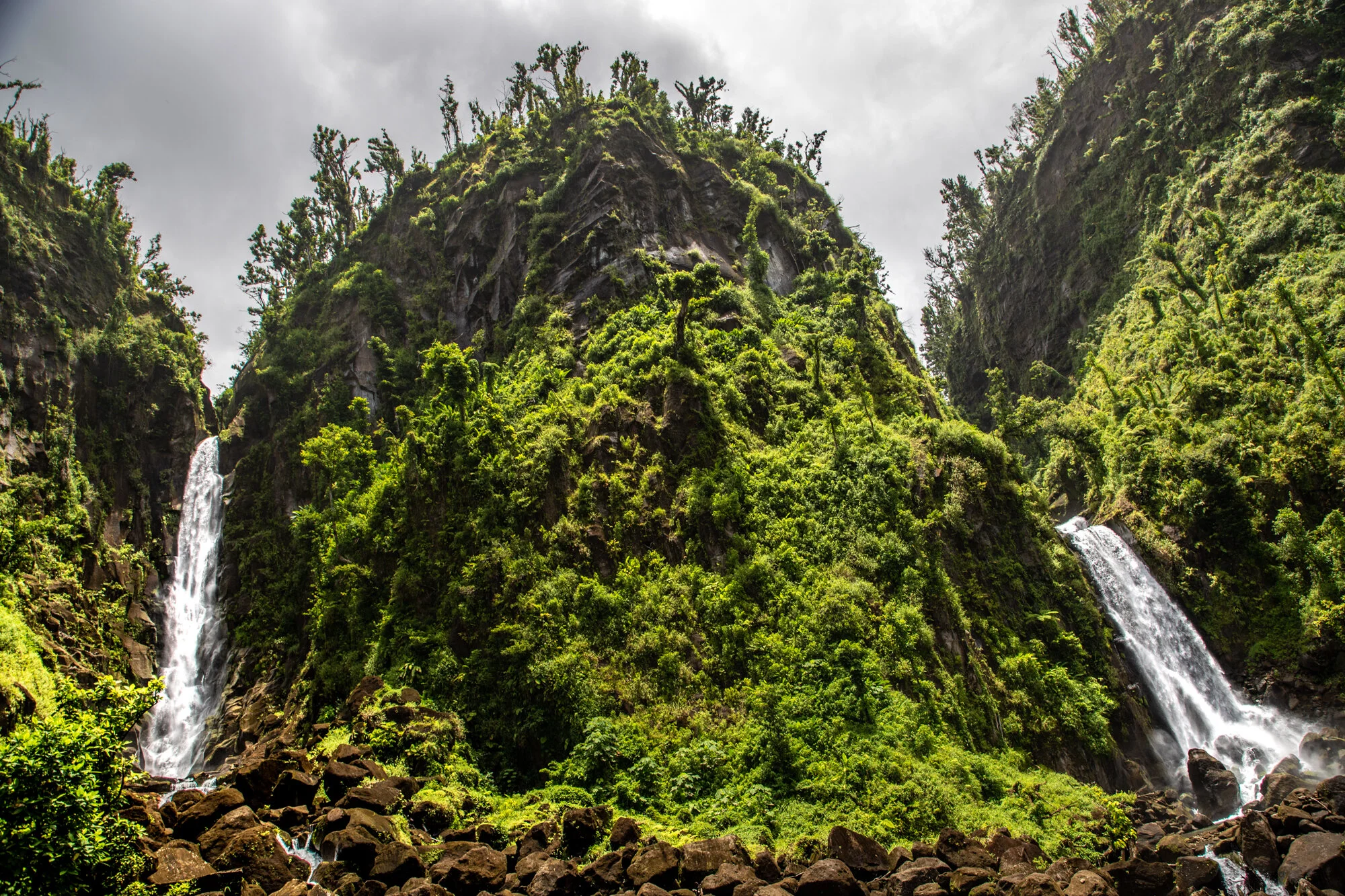 Best Excursions to do on a Carnival Cruise to Dominica