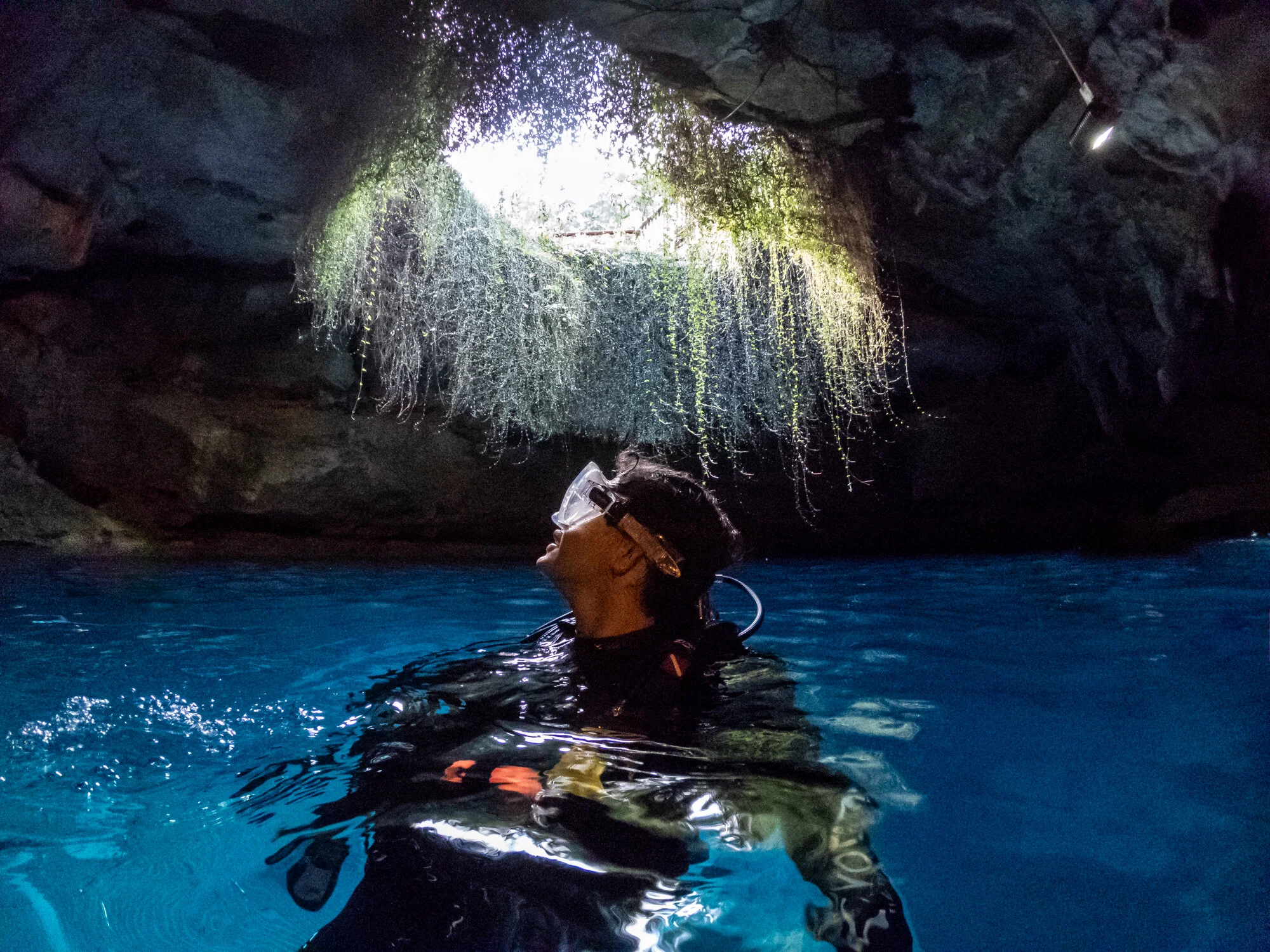 Scuba Diving Devil's Den Jason Daniel Shaw