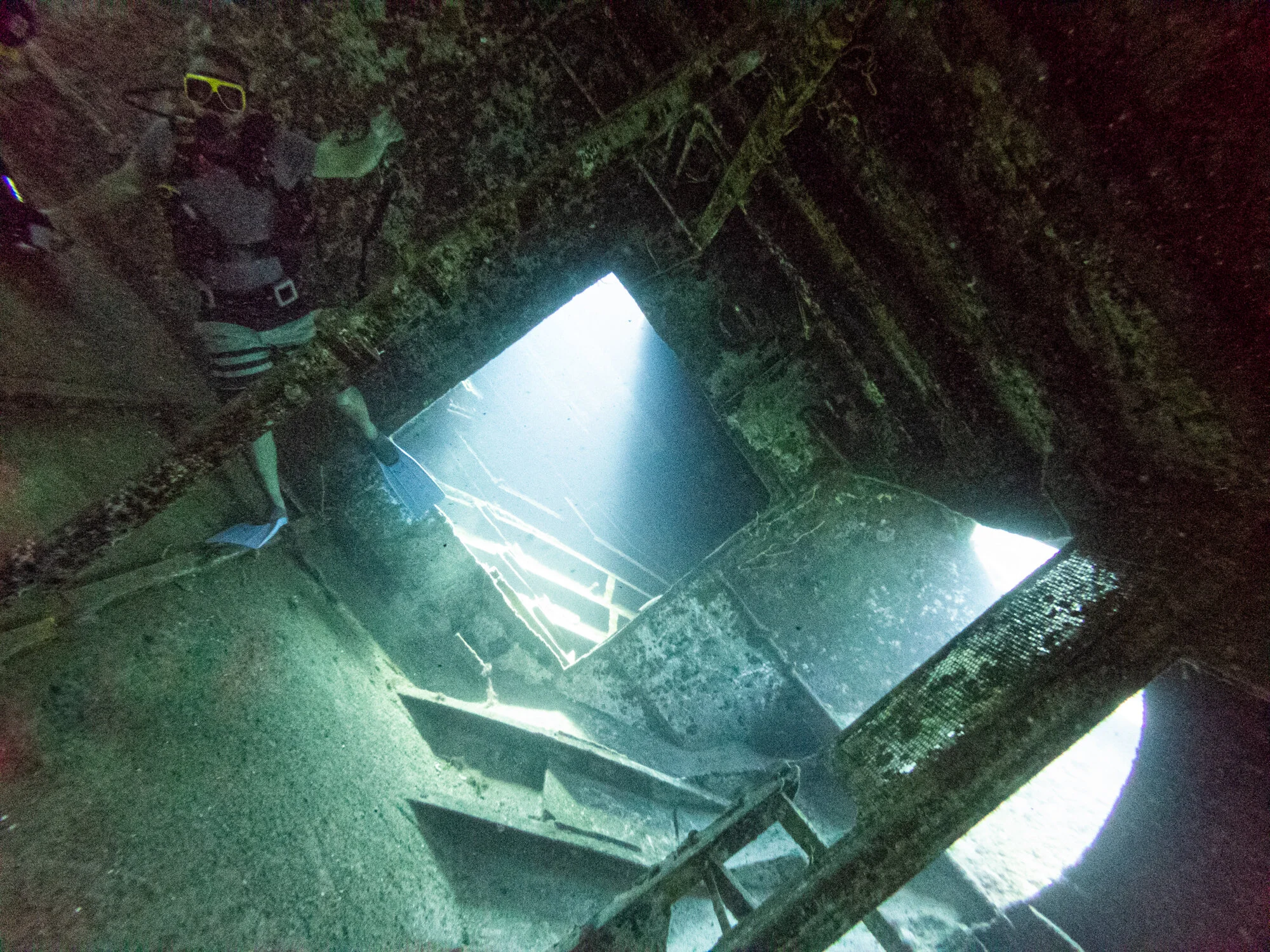 Scuba-diving couple above a reef in Grand Cayman