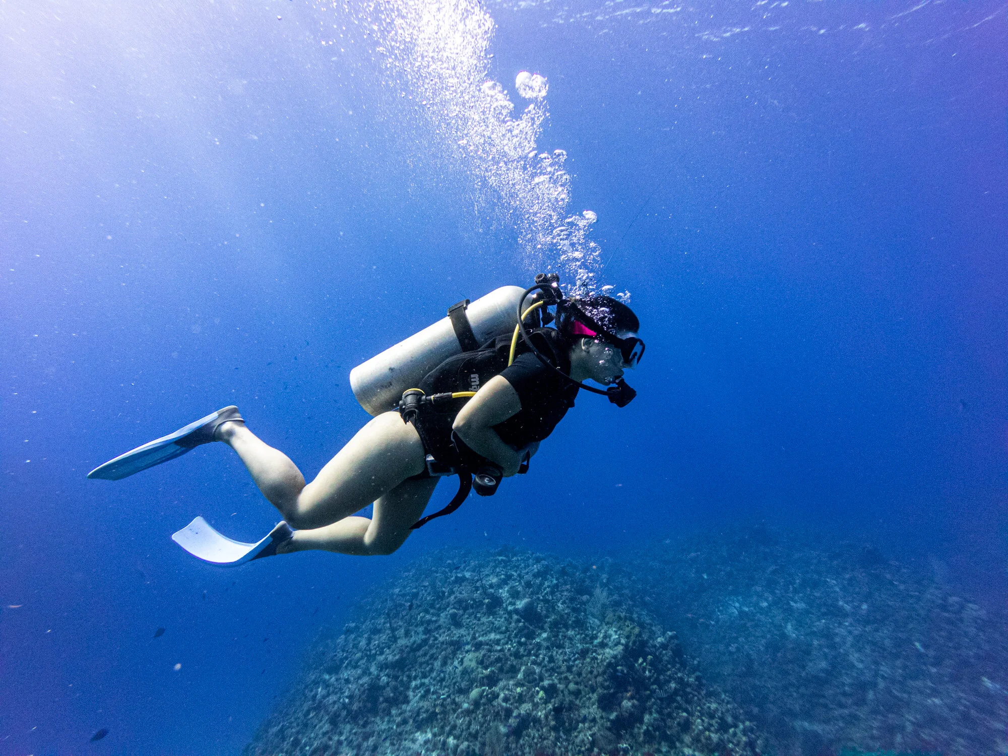 USS Kittiwake & Reef Two Tank Dive Excursion Review
