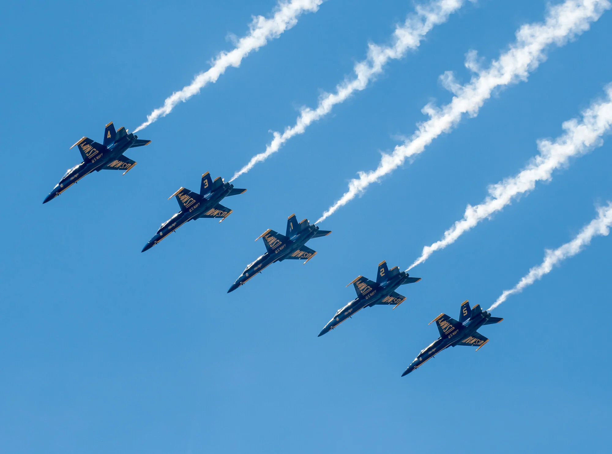 DSC_5362-31.jpg