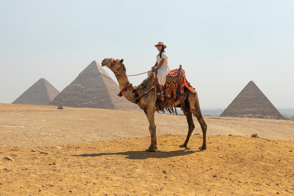 Camel Photo at the Pyramids