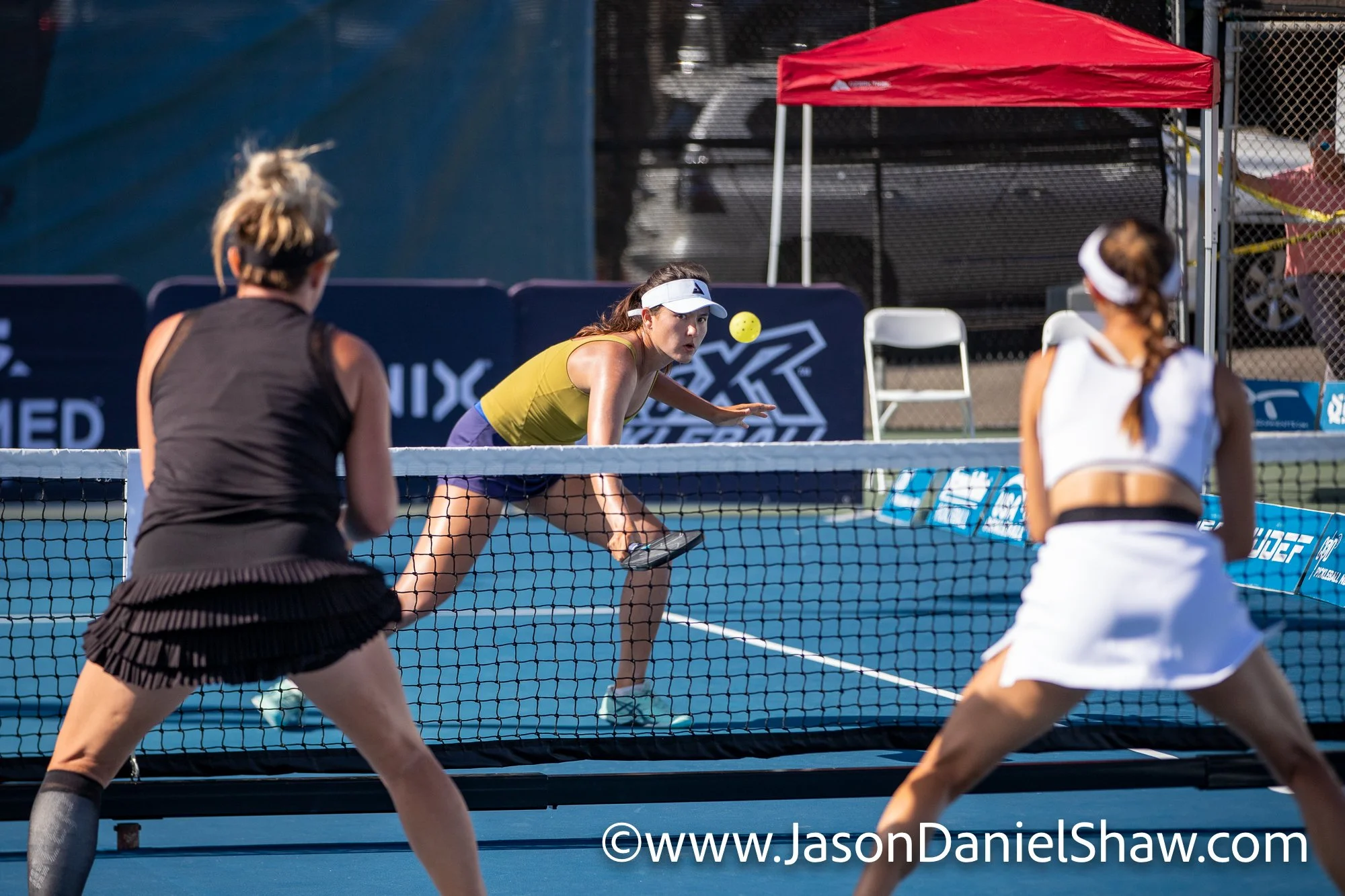 IMG_8204-427.jpg