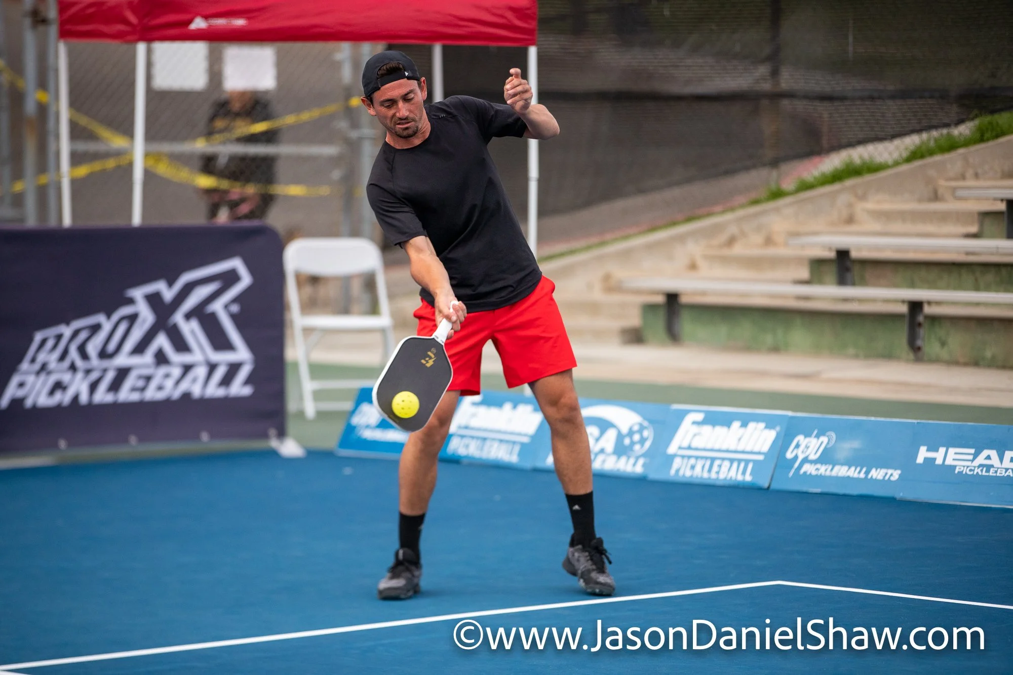 IMG_8519-555.jpg