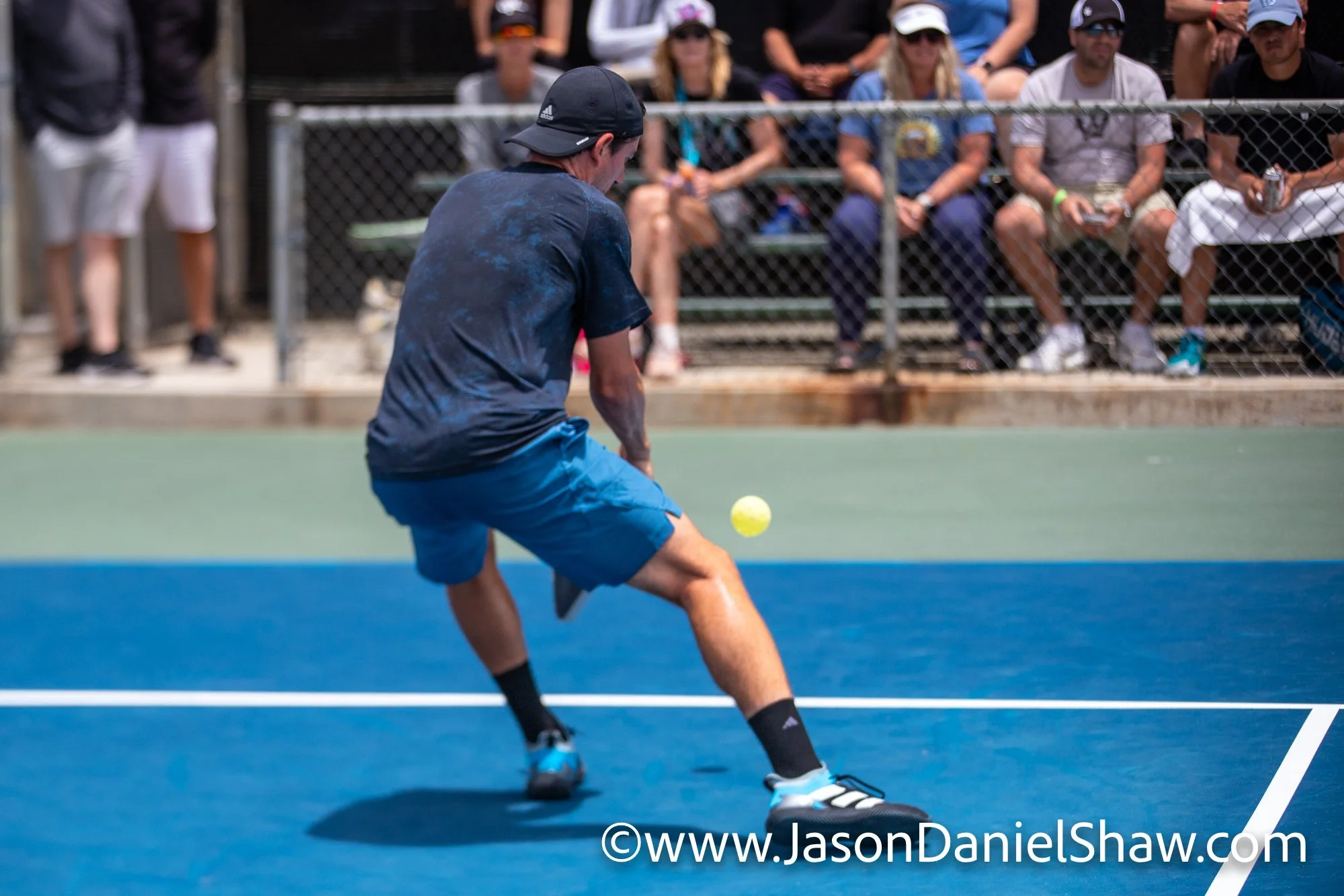IMG_9838-611.jpg