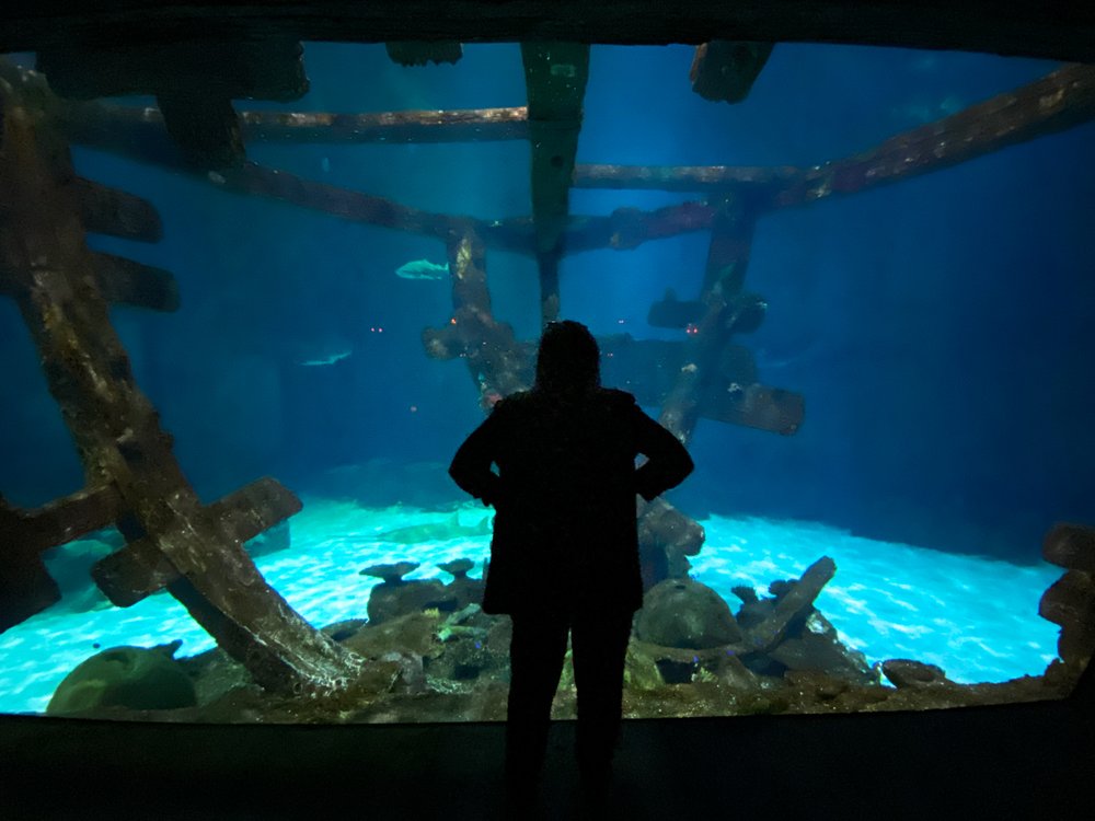 Standing in a shipwreck at Shark Reef Aquarium at Mandalay Bay Las Vegas