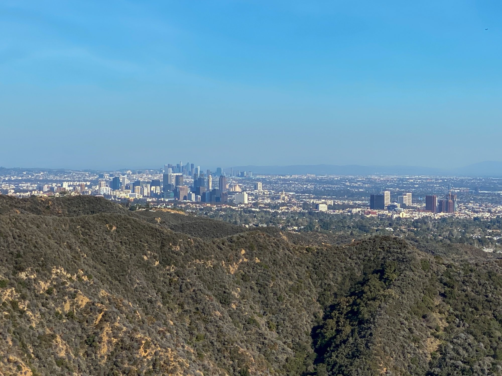 Temescal Canyon Downtown LA Views