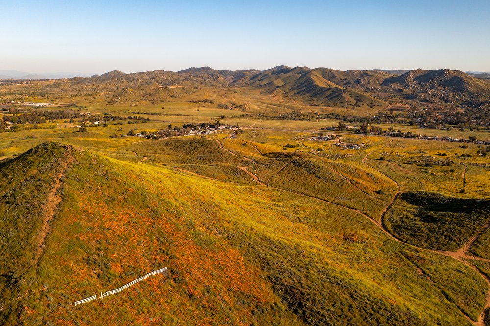 Southern California Super Bloom