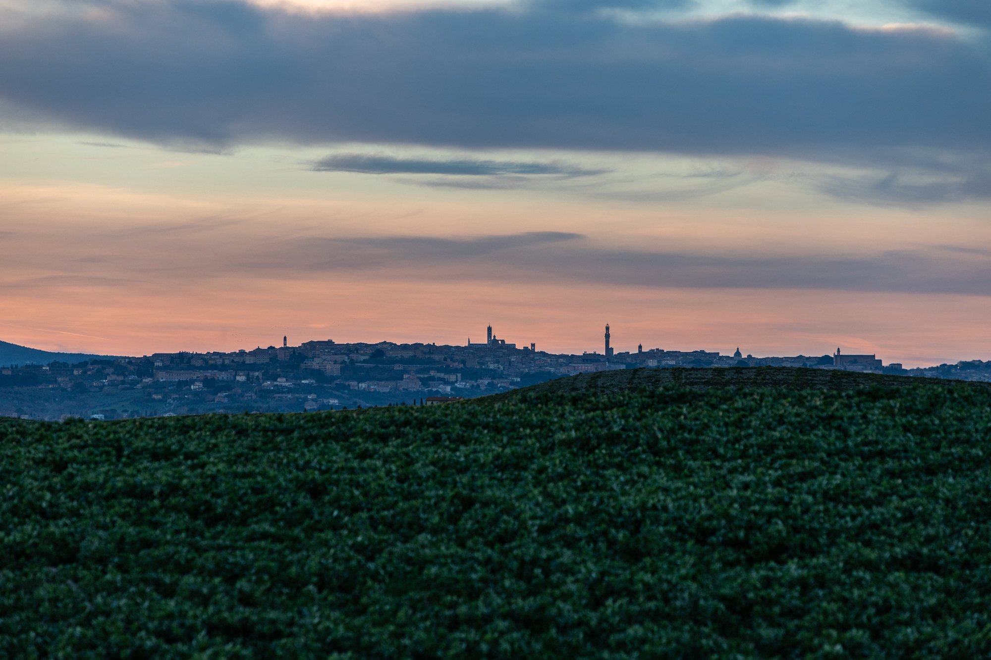 Tuscan Rolling Hills