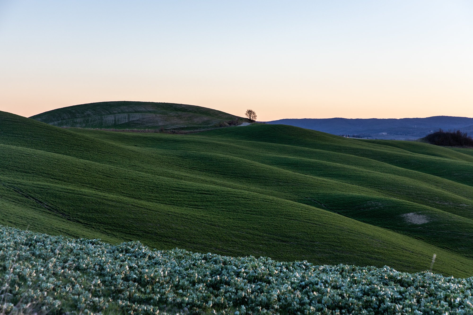 Hills of Tuscany