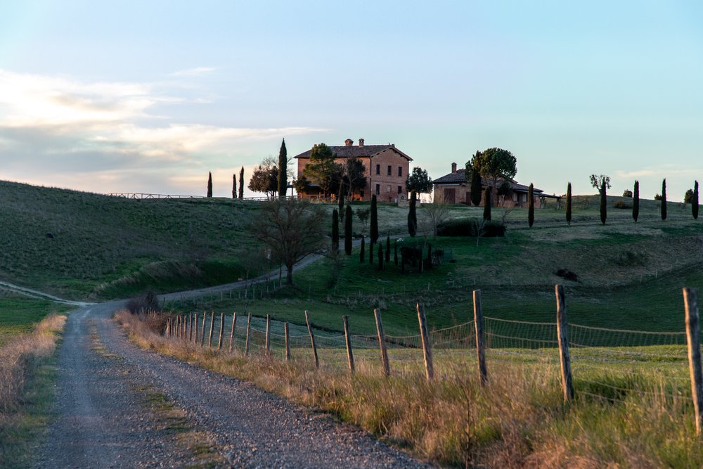 Tuscan Vineyards