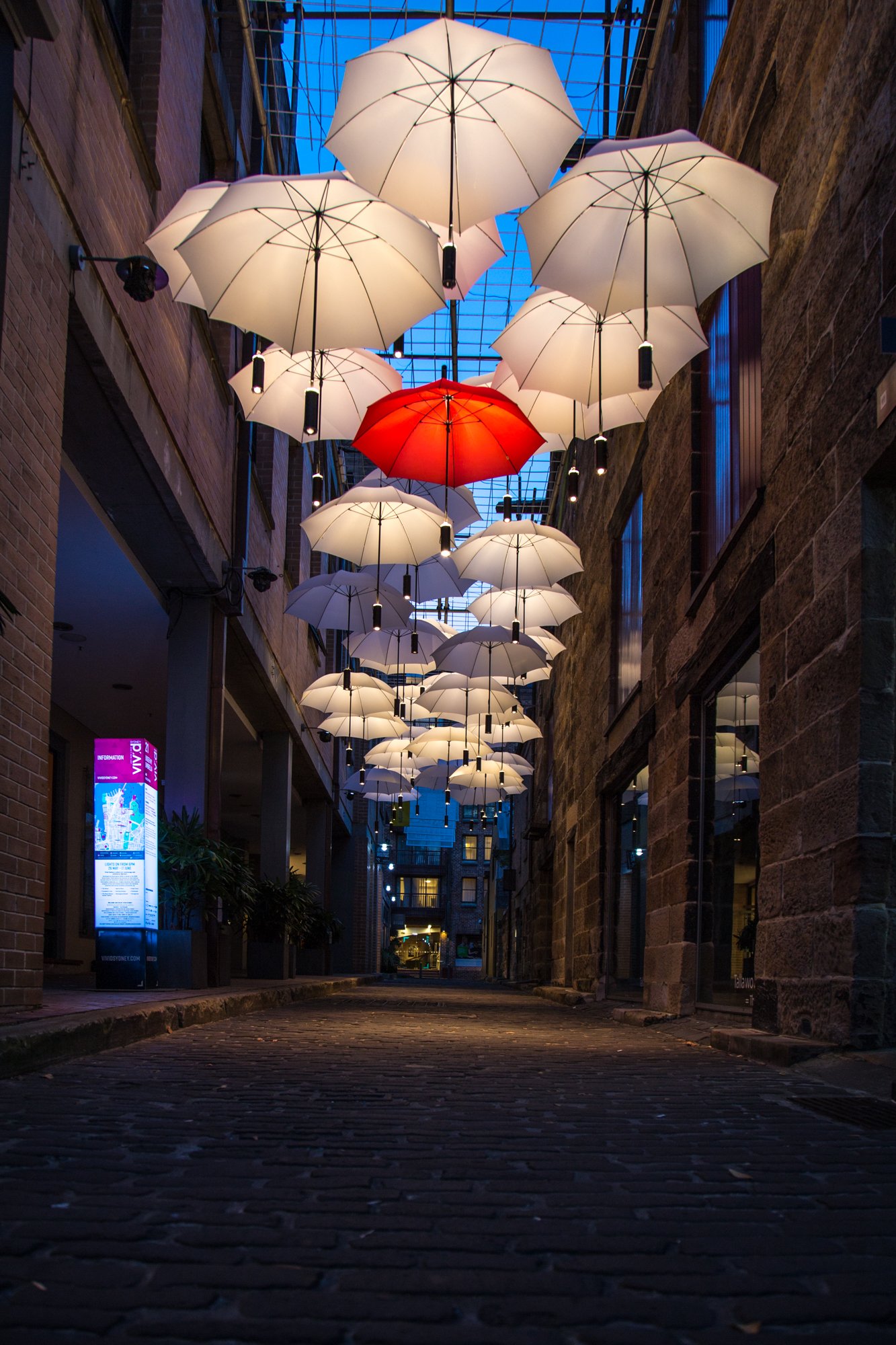 Vivid Sydney Umbrellas Light Exhibit